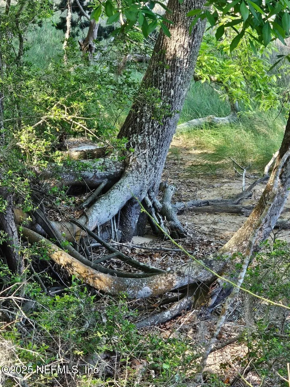 Fernandina Beach, Florida, 32034, United States, ,Land,Active,1824054