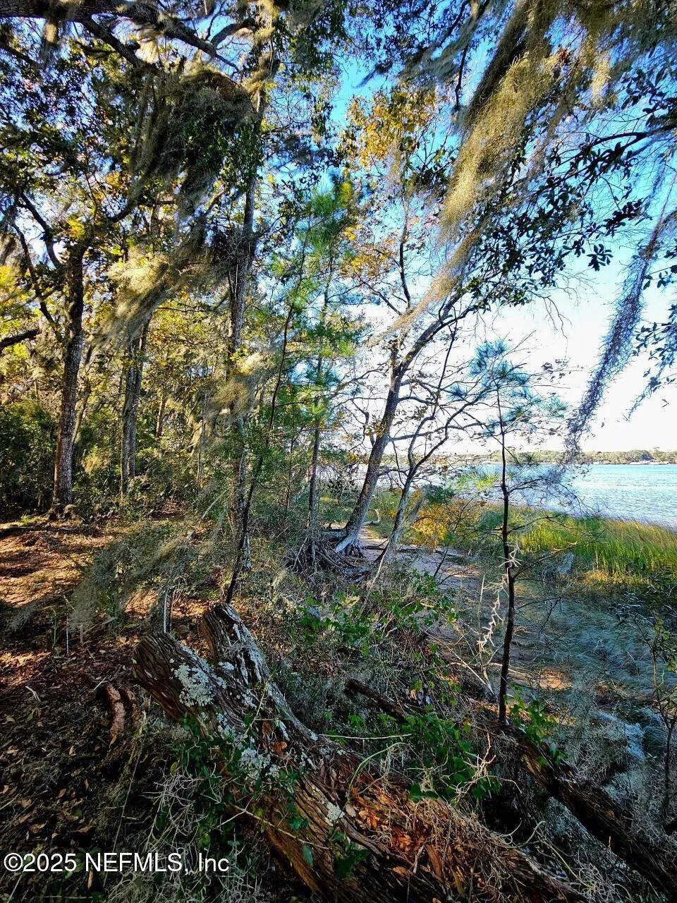 Fernandina Beach, Florida, 32034, United States, ,Land,Active,1824054
