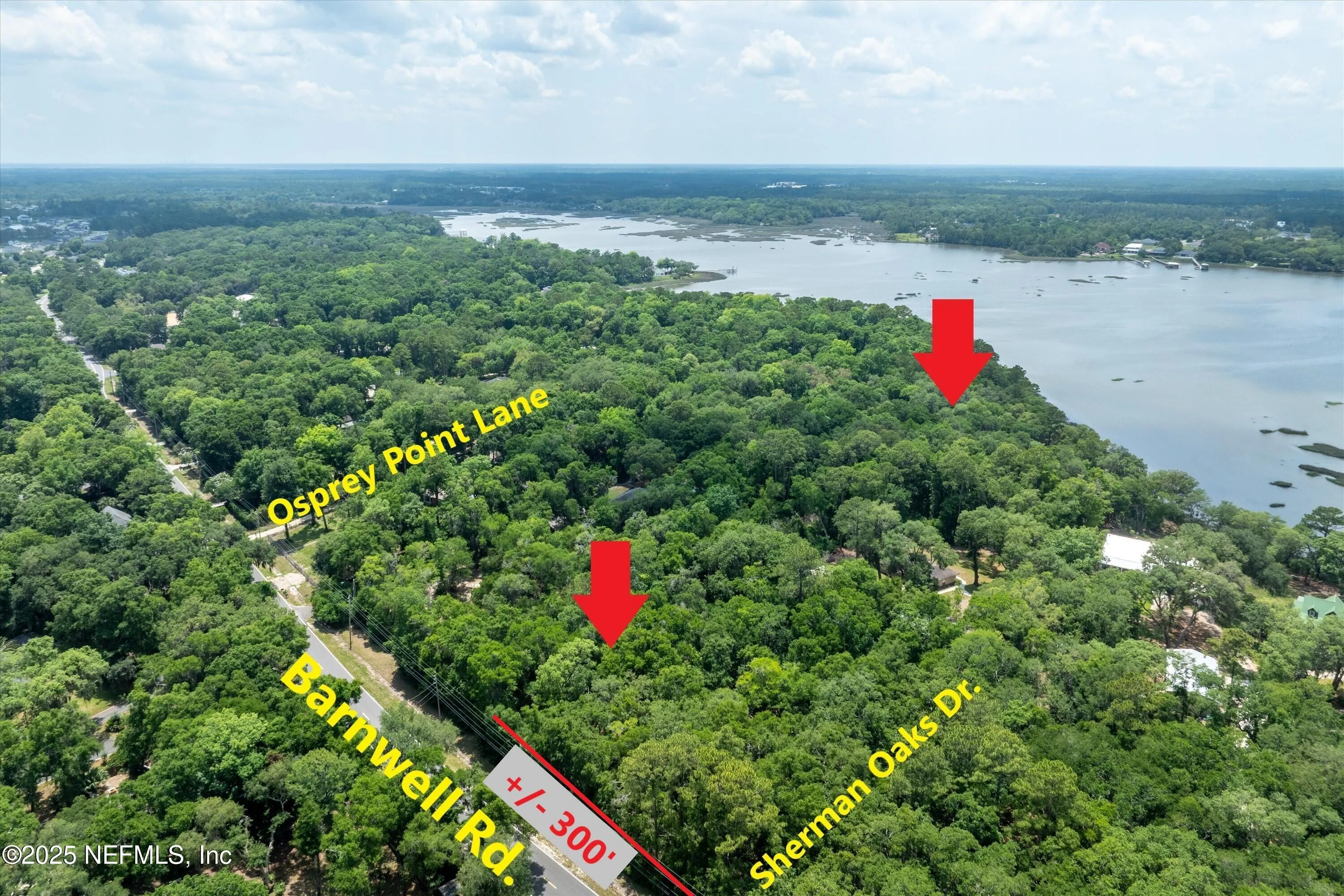 Fernandina Beach, Florida, 32034, United States, ,Land,Active,1824054