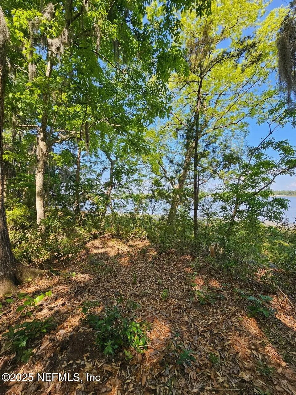 Fernandina Beach, Florida, 32034, United States, ,Land,Active,1824054