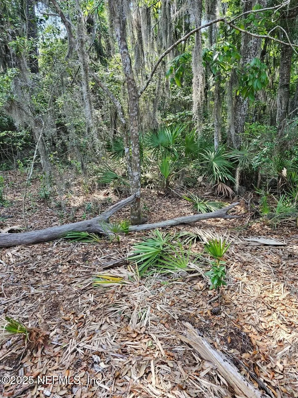 Fernandina Beach, Florida, 32034, United States, ,Land,Active,1824054