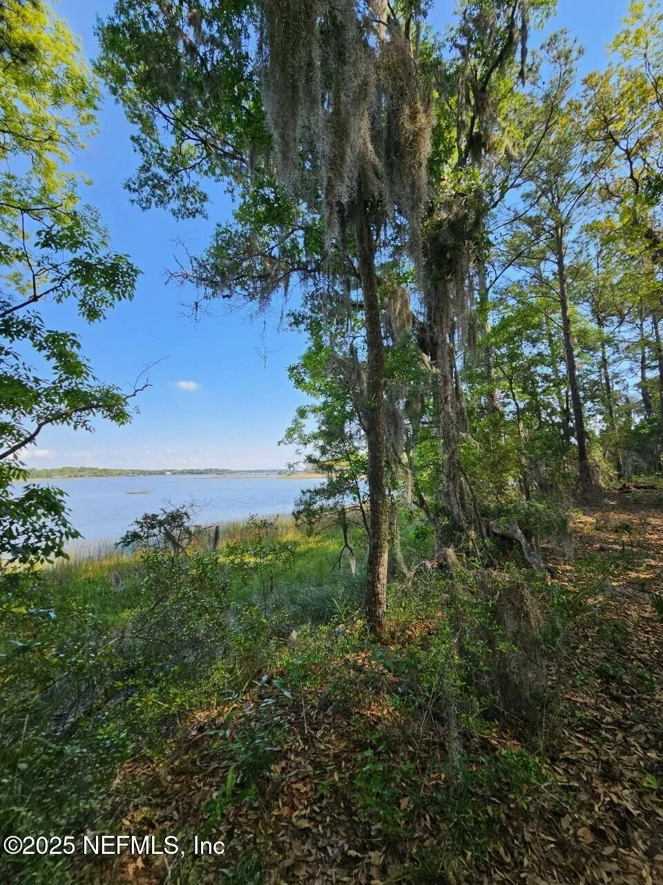 Fernandina Beach, Florida, 32034, United States, ,Land,Active,1824054