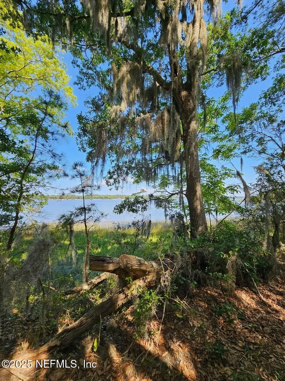 Fernandina Beach, Florida, 32034, United States, ,Land,Active,1824054