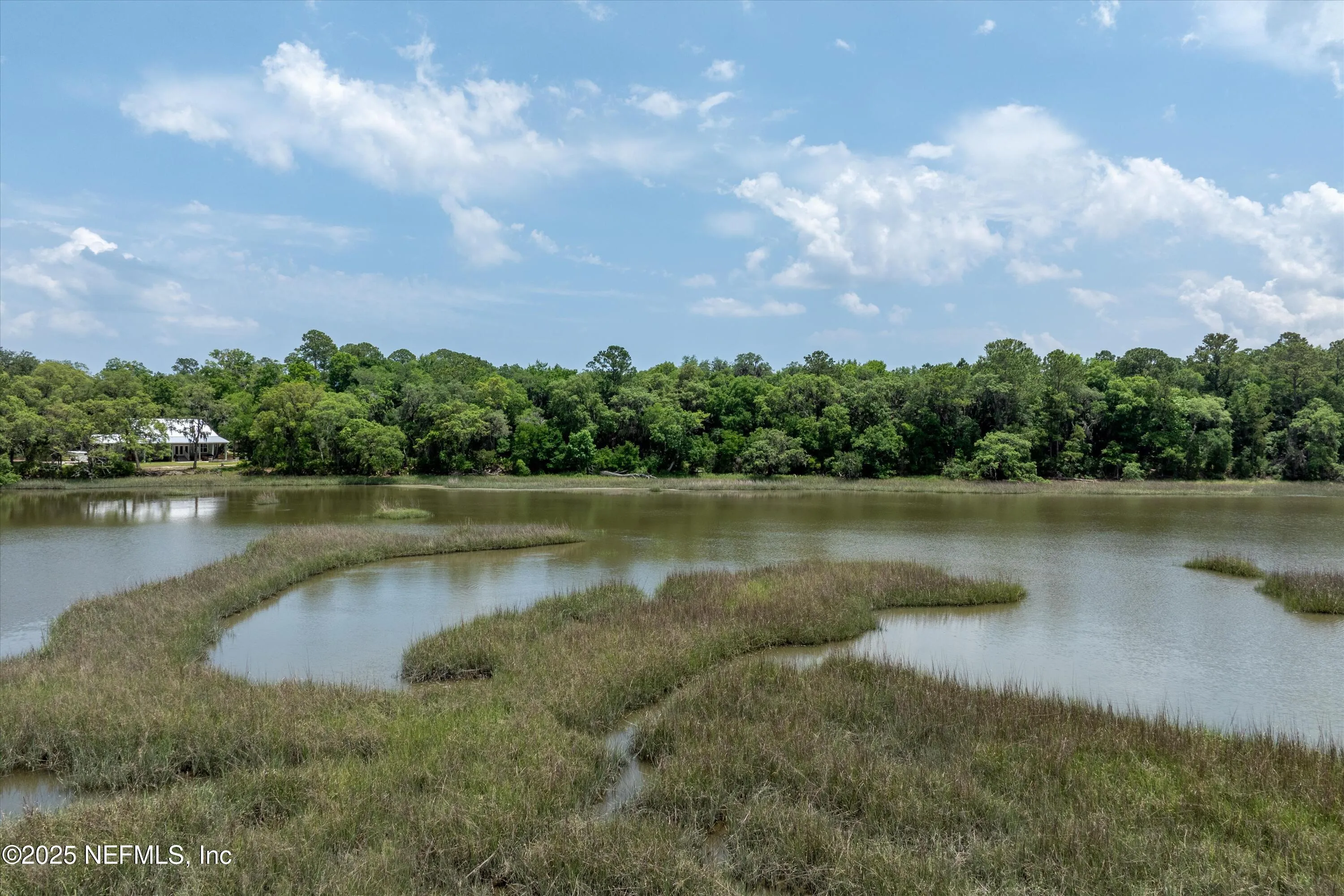 Fernandina Beach, Florida, 32034, United States, ,Land,Active,1824054