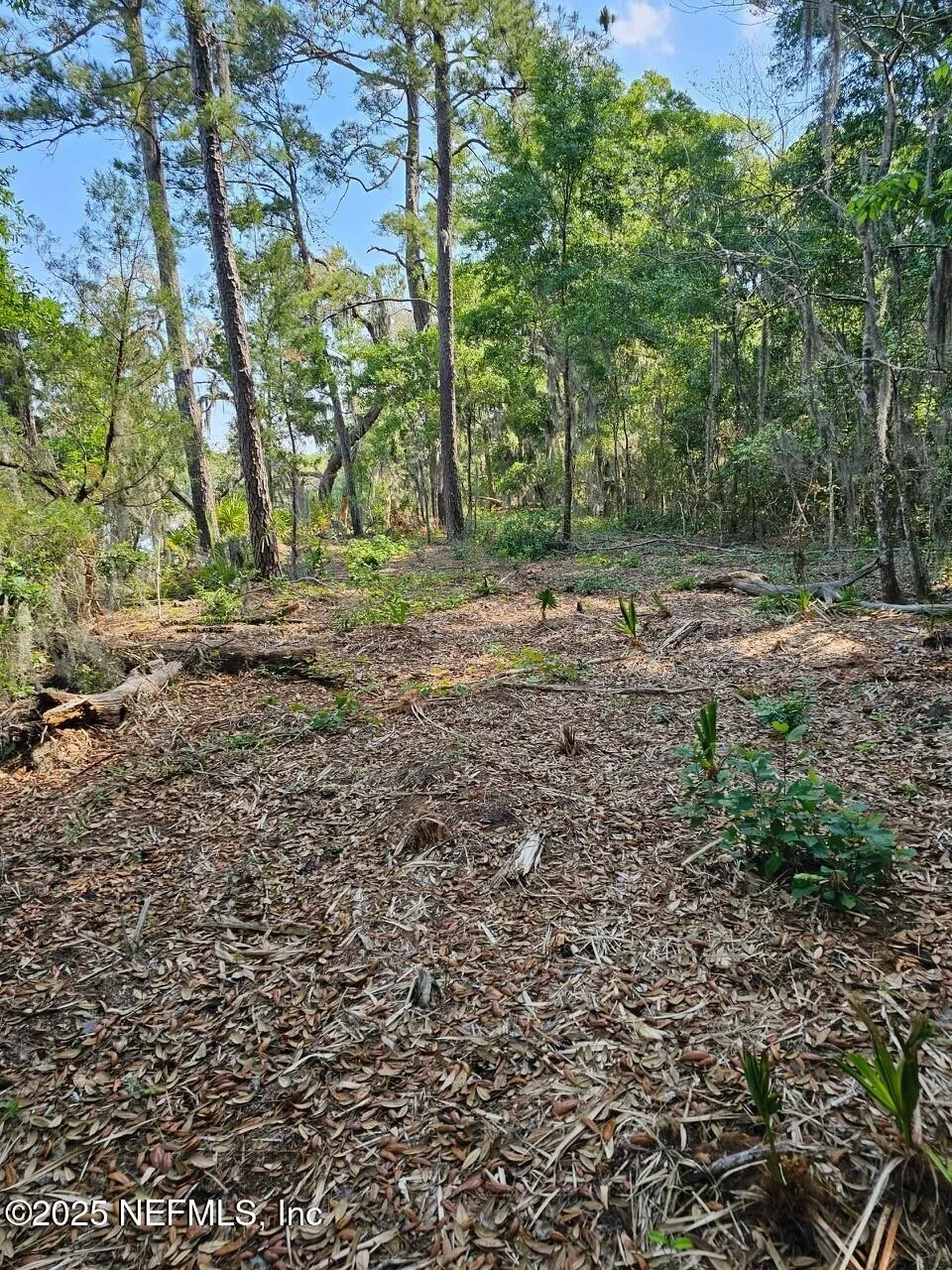 Fernandina Beach, Florida, 32034, United States, ,Land,Active,1824054