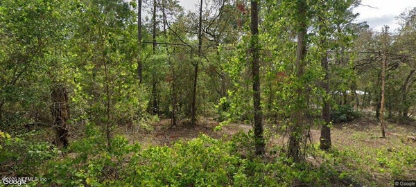 105 PINETREE ST, POMONA PARK, FL 32181 - Image 18cb775cd265489effeae7edafd9a729/1908763620