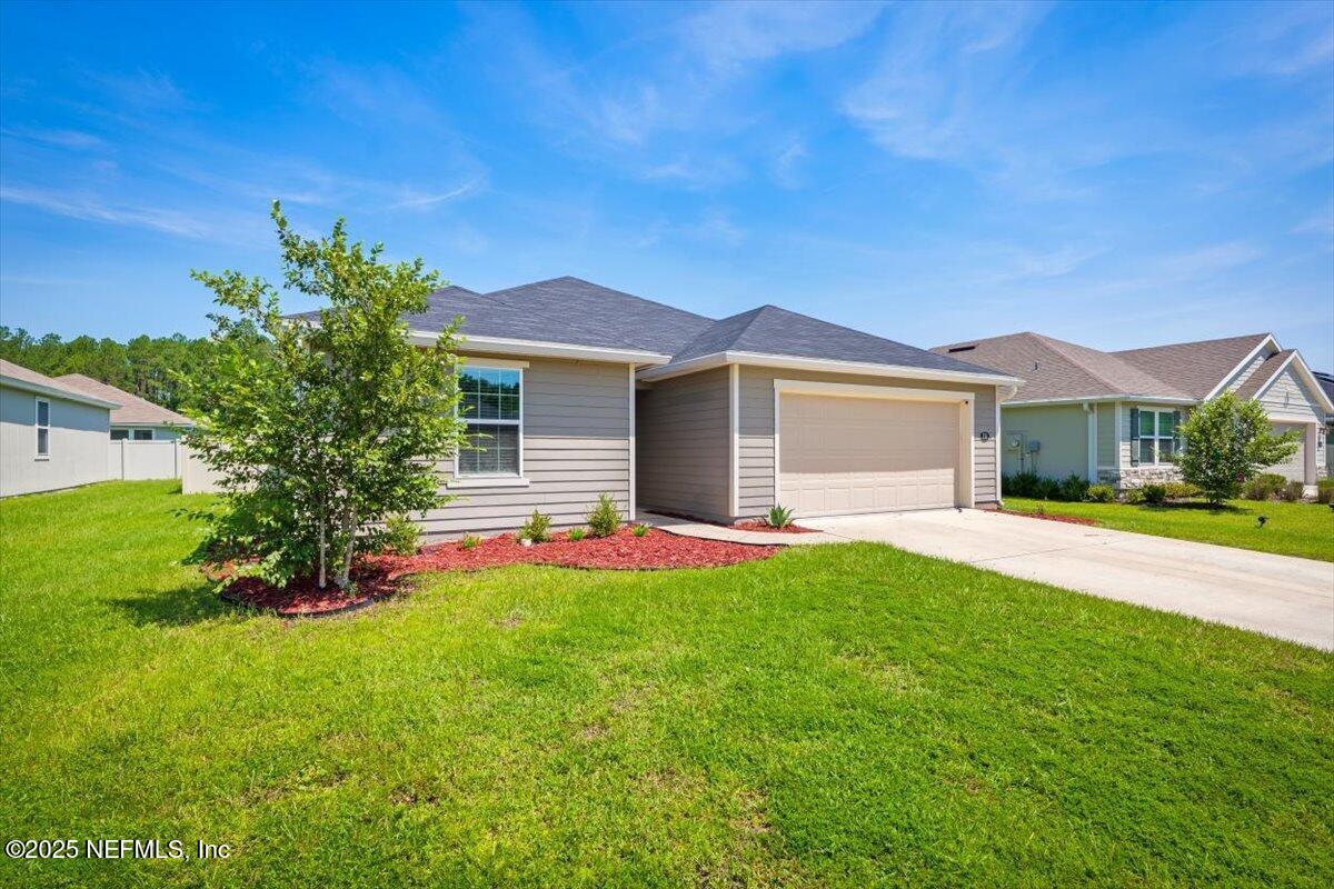 531 WHITE CAMELLIA Lane