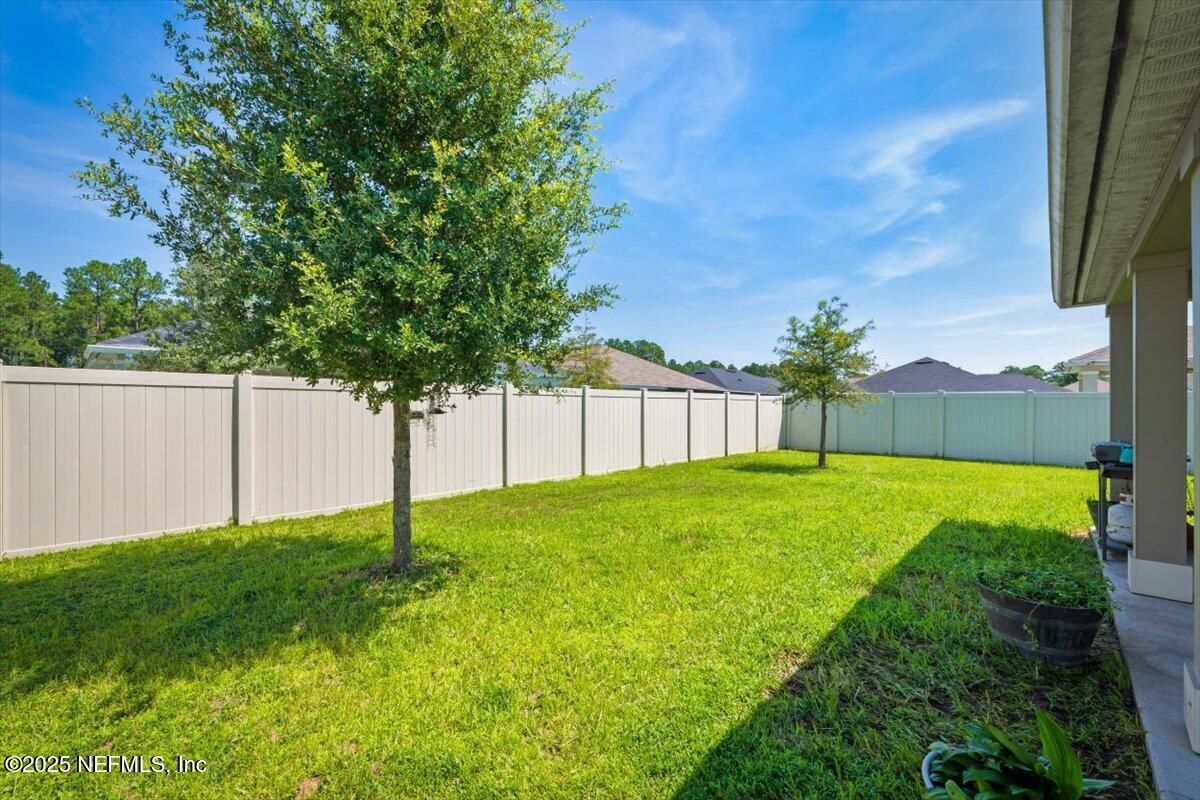 531 WHITE CAMELLIA Lane