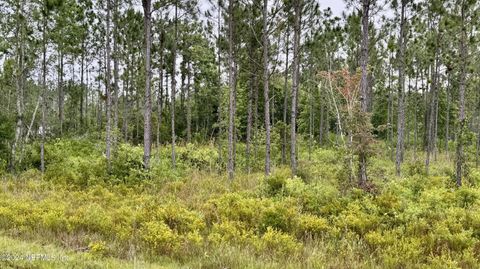 Unimproved Land in Glen St. Mary FL 0000 COUNTY ROAD 125 2.jpg