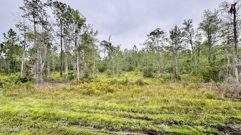 Unimproved Land in Glen St. Mary FL 0000 COUNTY ROAD 125 4.jpg