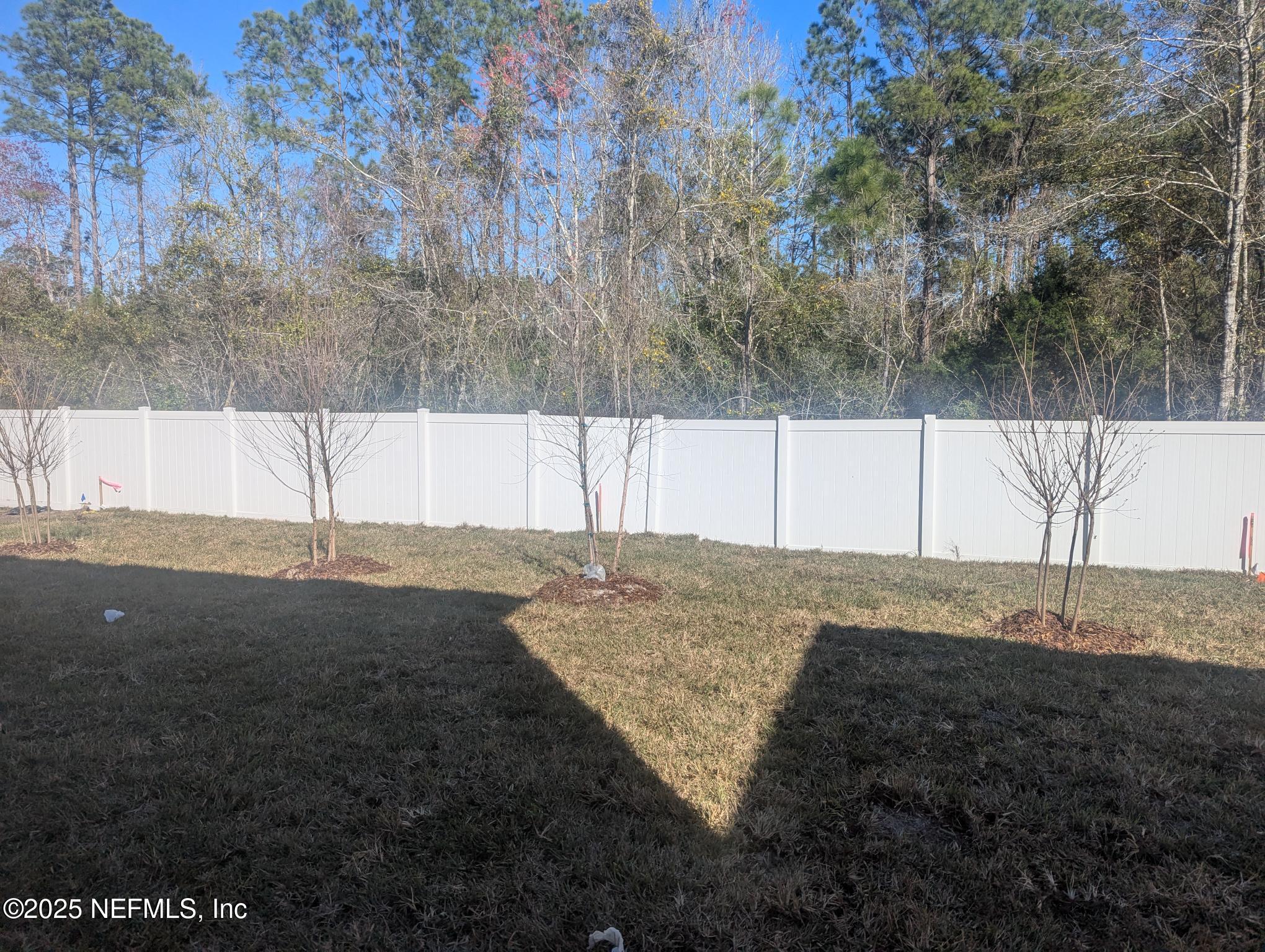 115 BRAZIL NUT Circle 251