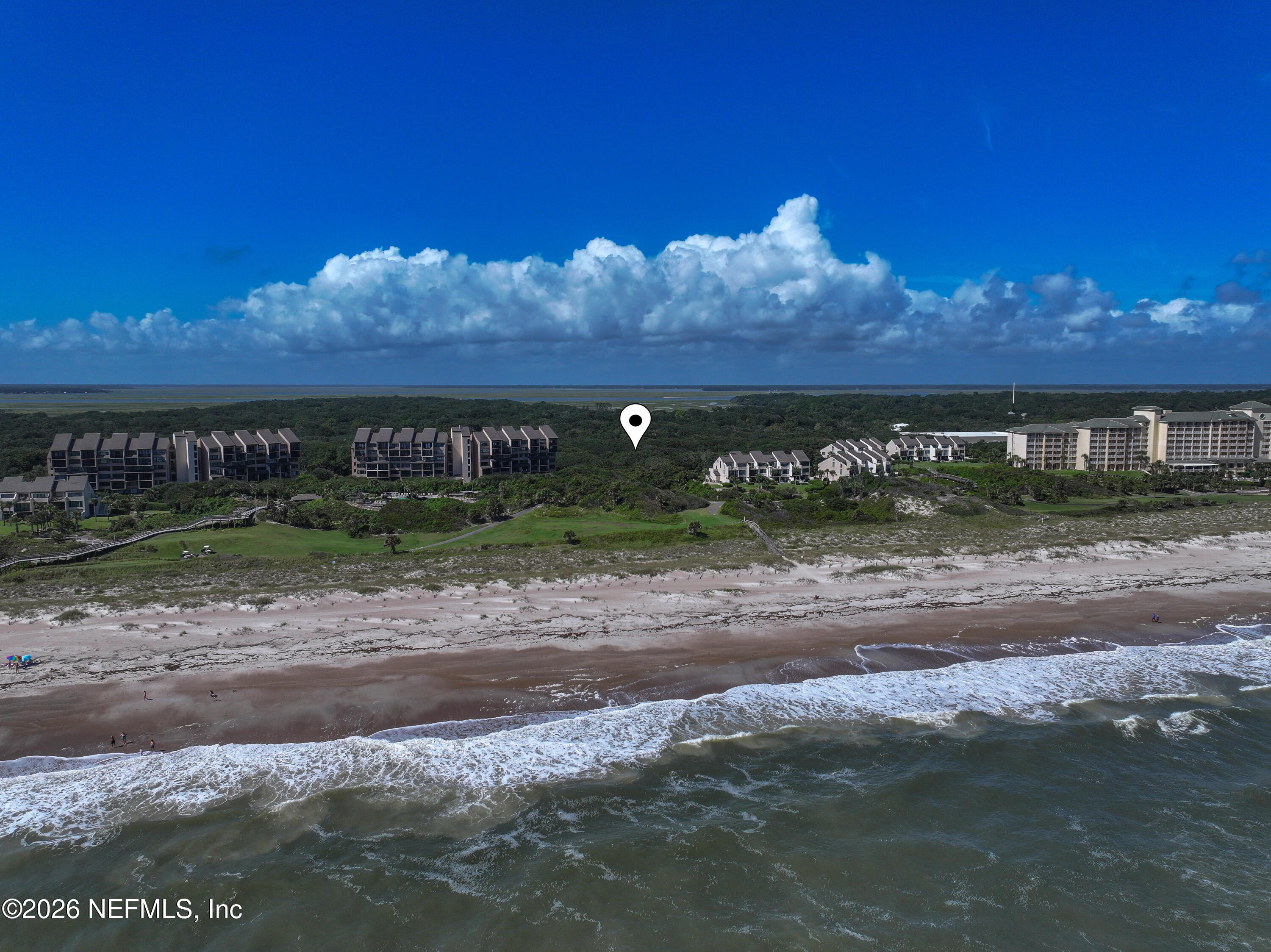 10 GREEN WINGED TEAL Road