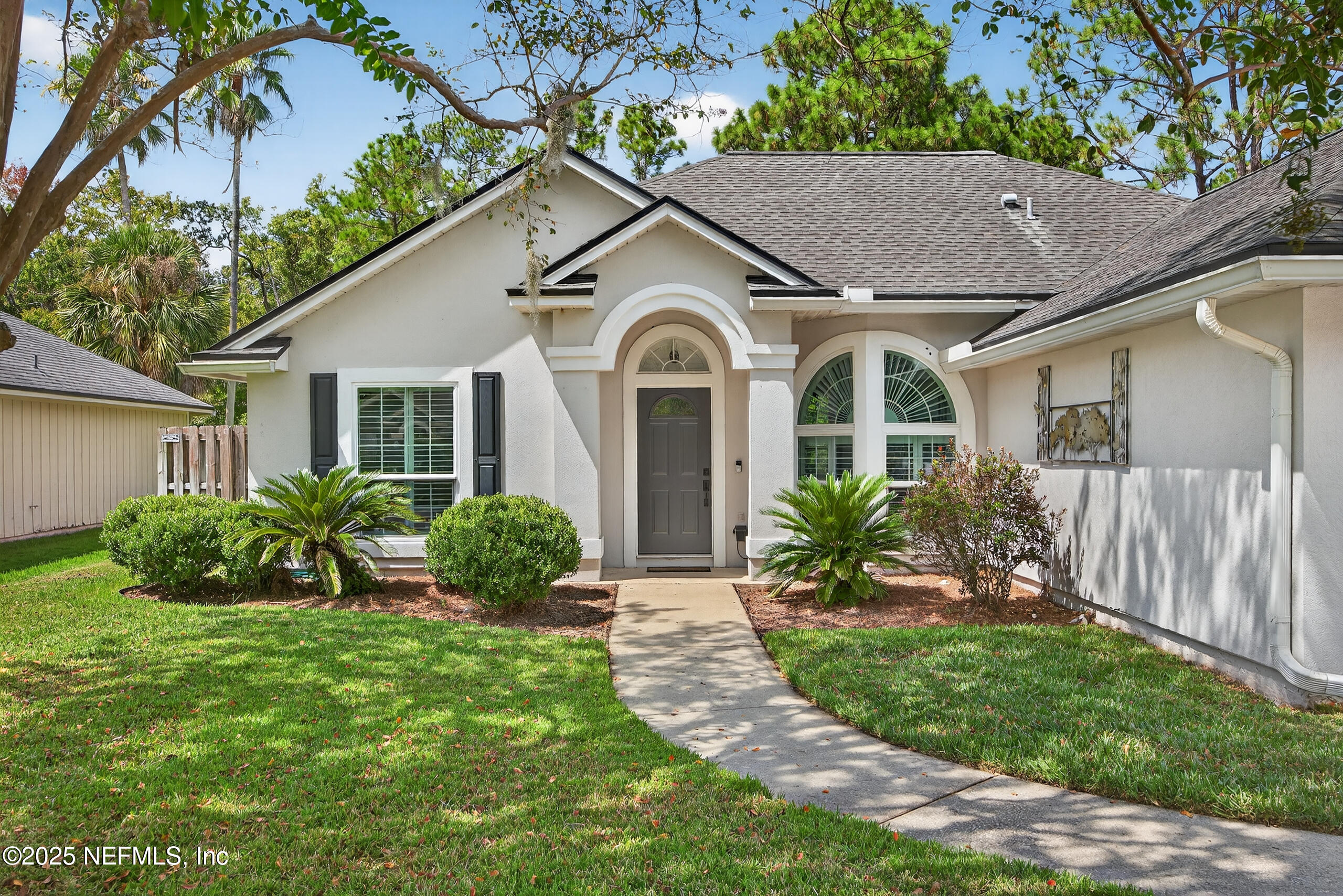 1452 WATER PIPIT Lane