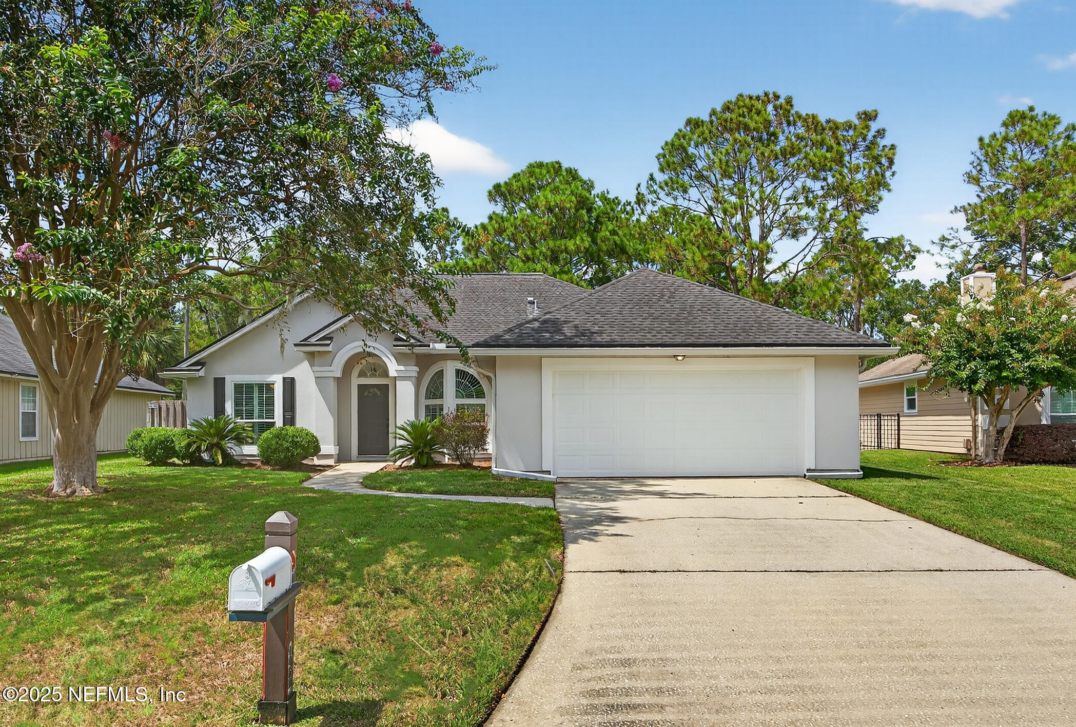 1452 WATER PIPIT Lane