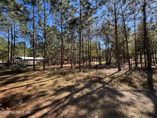 SW 105TH LOOP, LAKE BUTLER, FL 32054 - Image 2630a8db6c0cee51ecb70ed320e9db06/2630189257