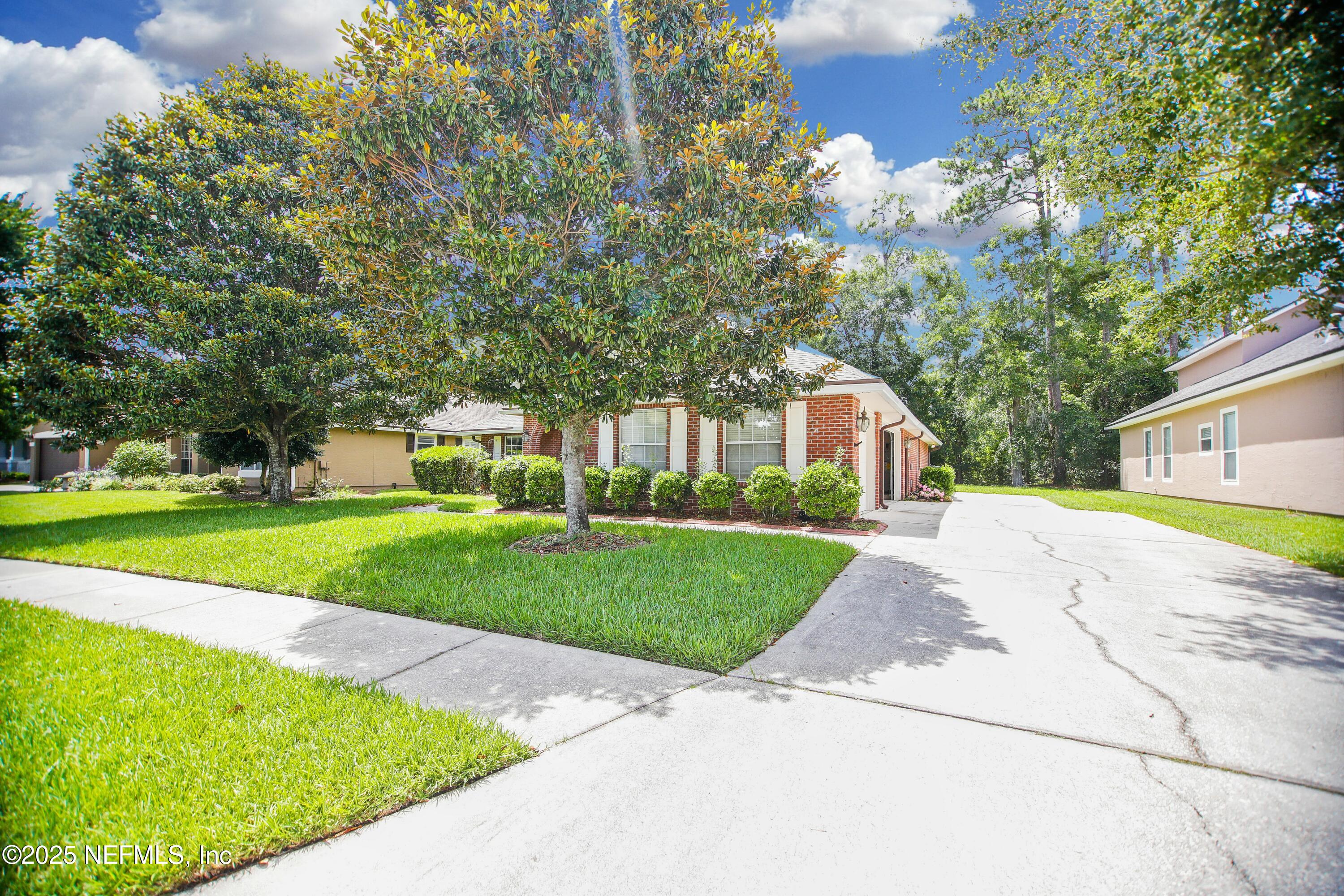 2534 WILLOW CREEK Drive