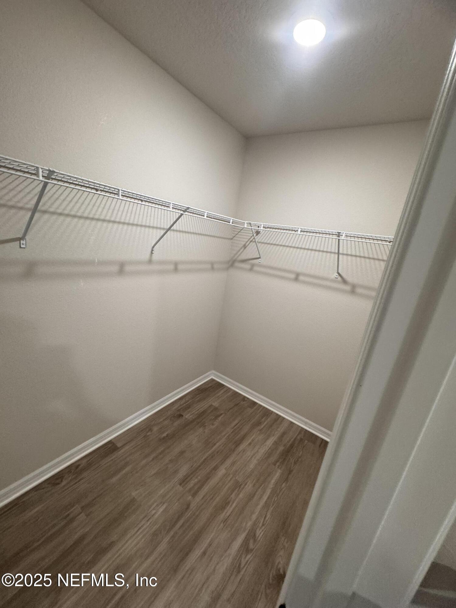 47 LAGUNA FOREST Trail