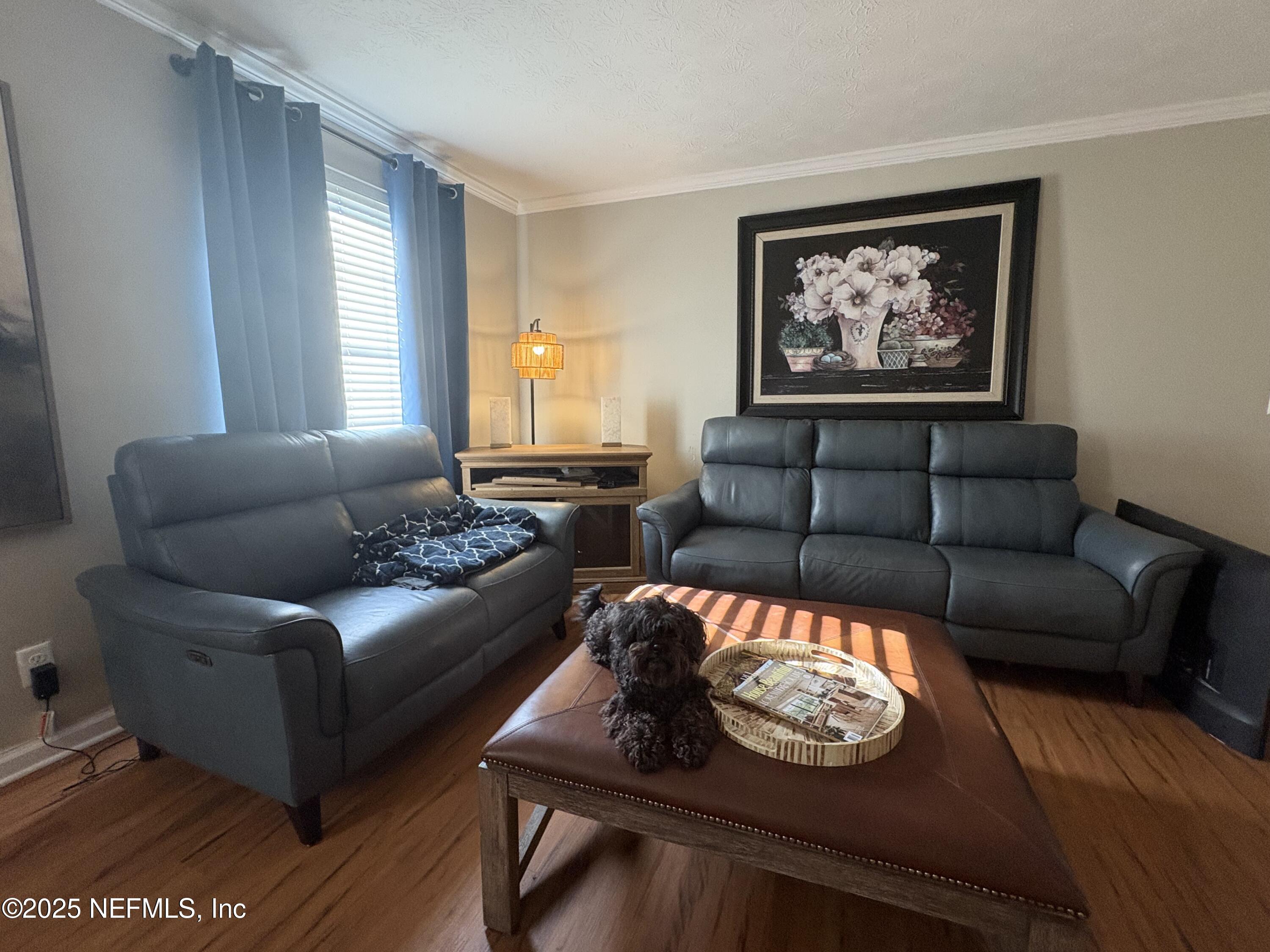 4358 TIMUQUANA Road 203