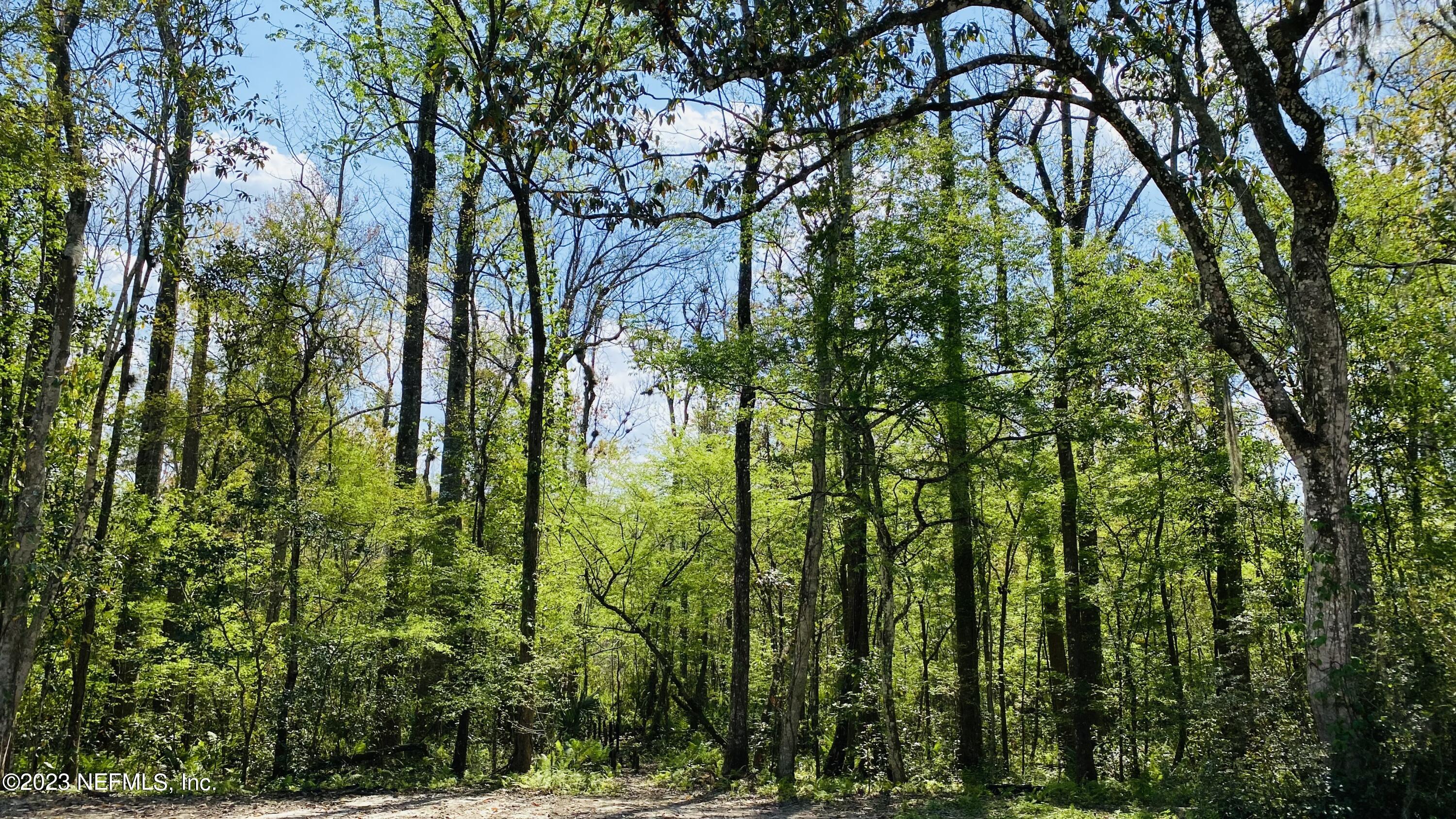 Photo 6 of 18 of 4600 JULINGTON CREEK Road land