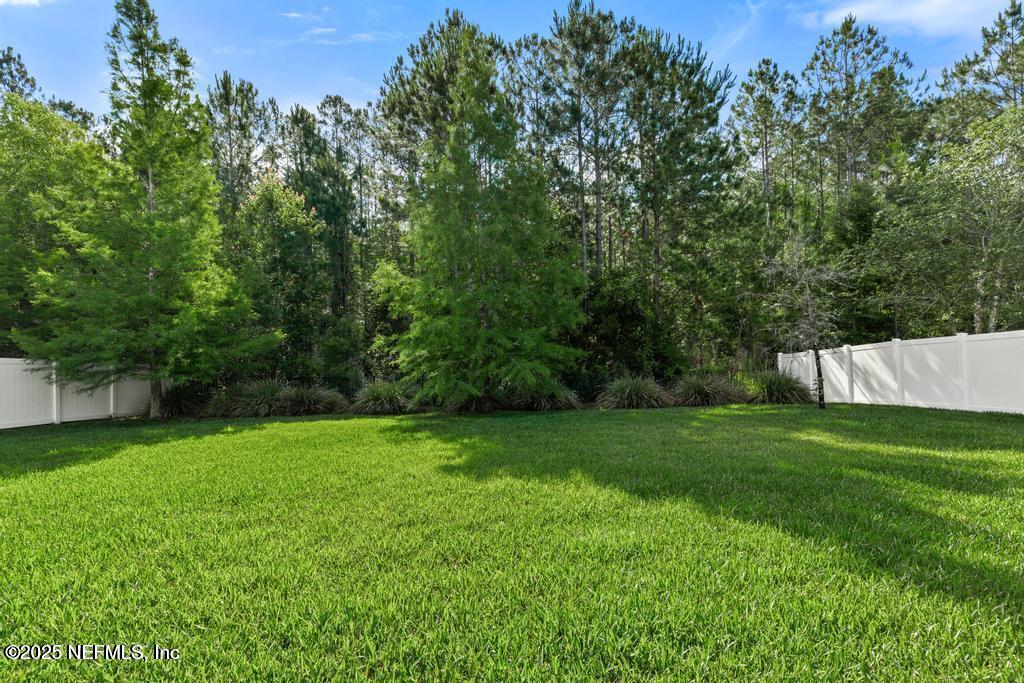 350 BRAMBLY VINE Drive