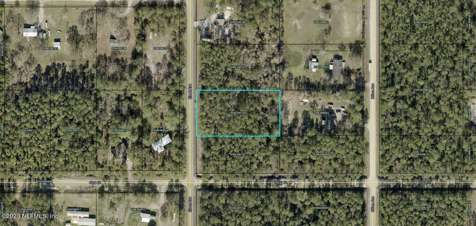 Hastings, FL home for sale located at 10050 Ebert Avenue, Hastings, FL 32145