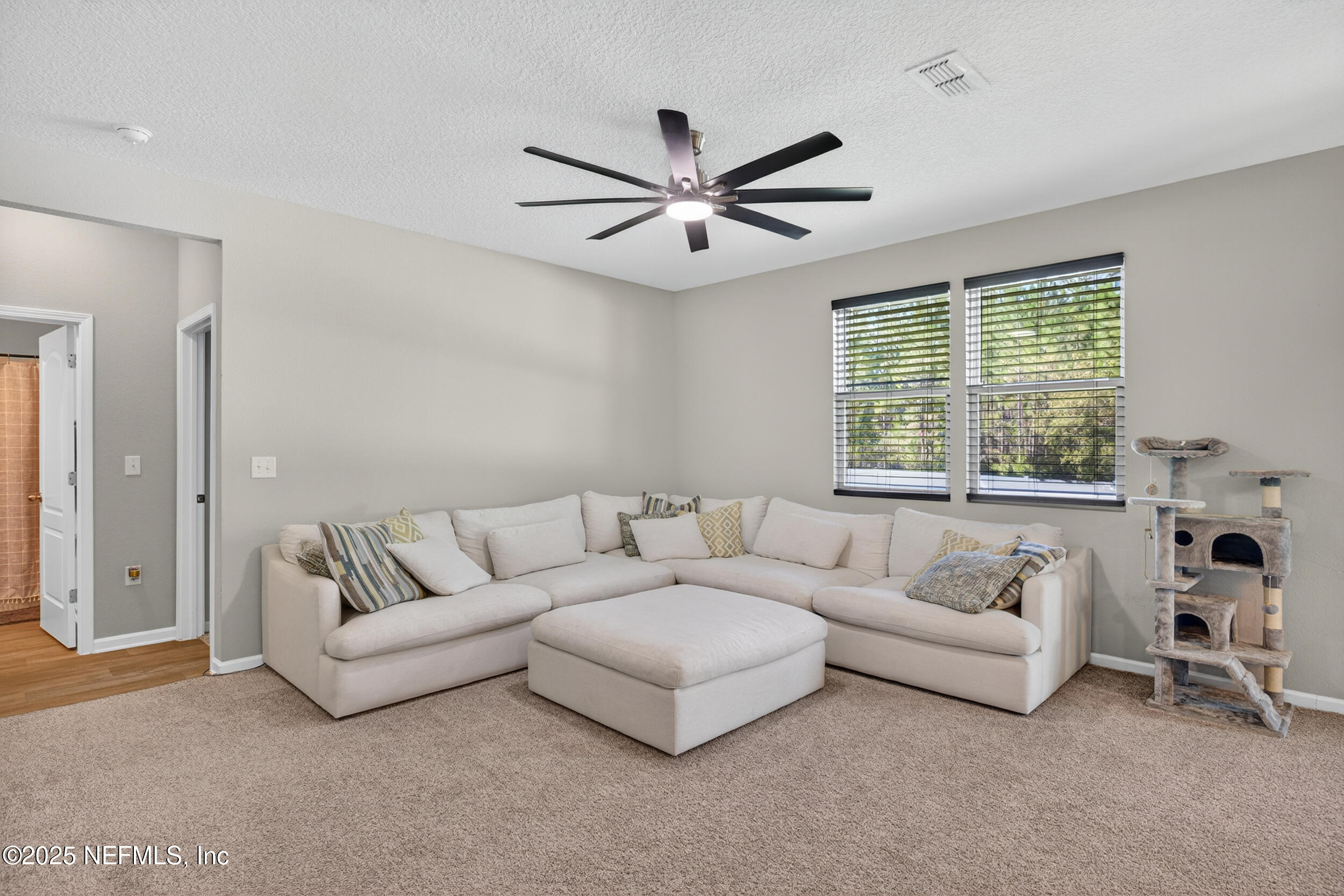 6238 WILD MUSTANG Trail