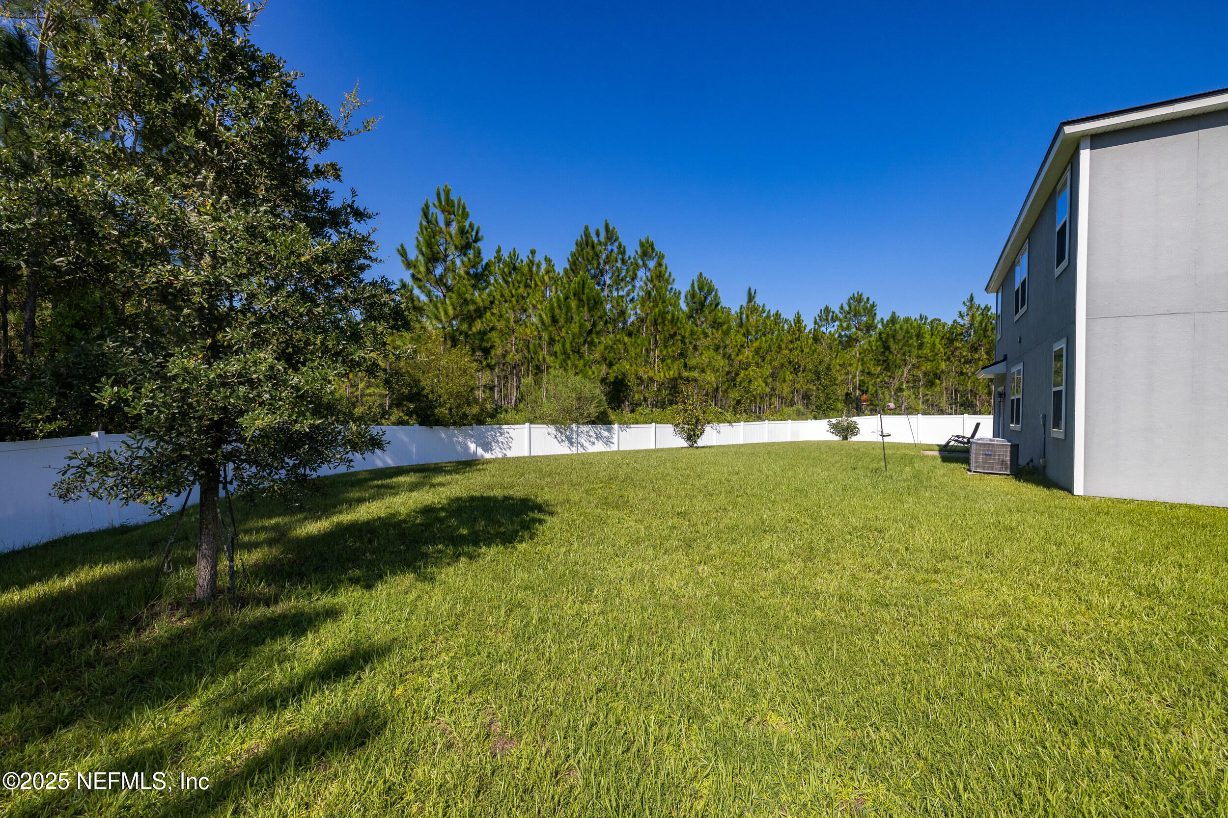 6238 WILD MUSTANG Trail