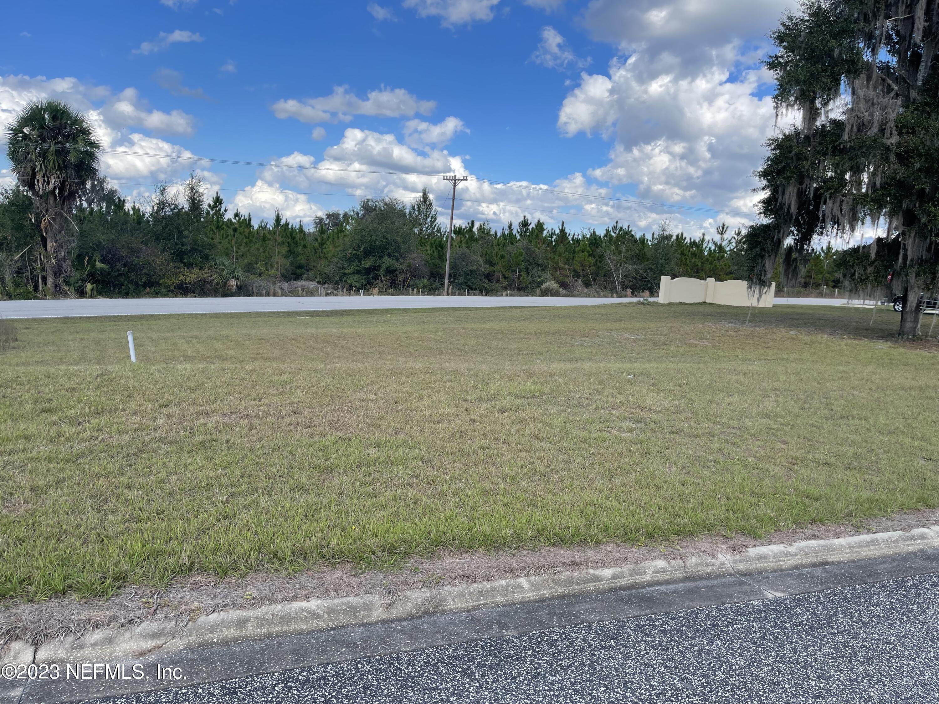 WELAKA, FL home for sale located at 100 SIESTA CIR, WELAKA, FL 32193