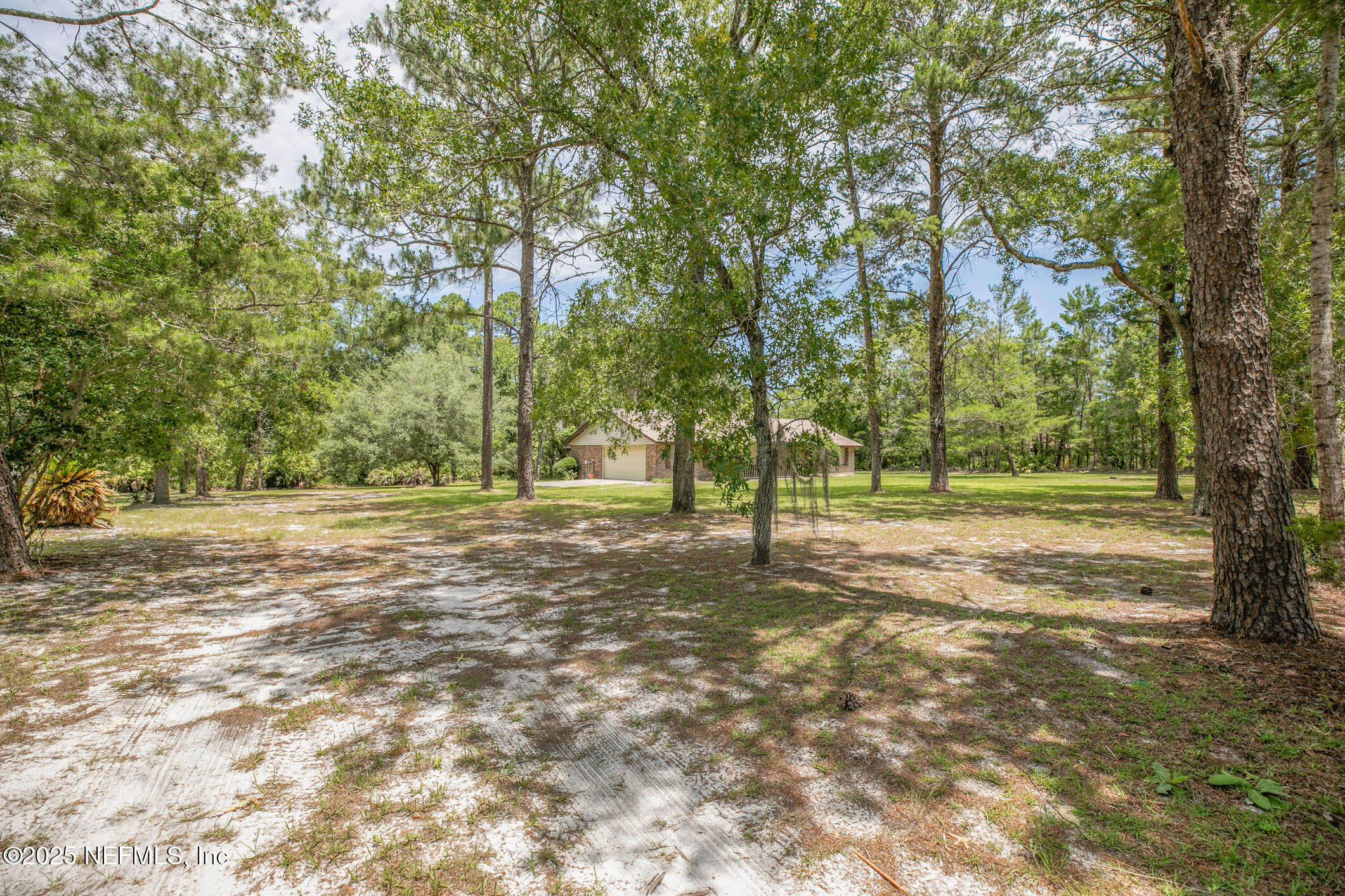 4461 SADDLEHORN Trail