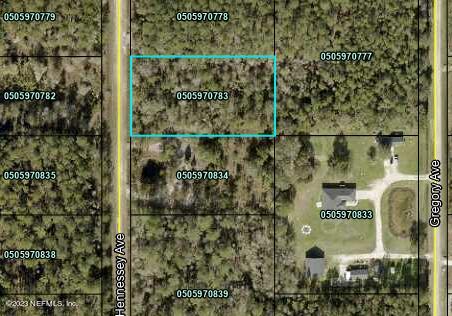 Hastings, FL home for sale located at 10260 HENNESSEY Avenue, Hastings, FL 32145