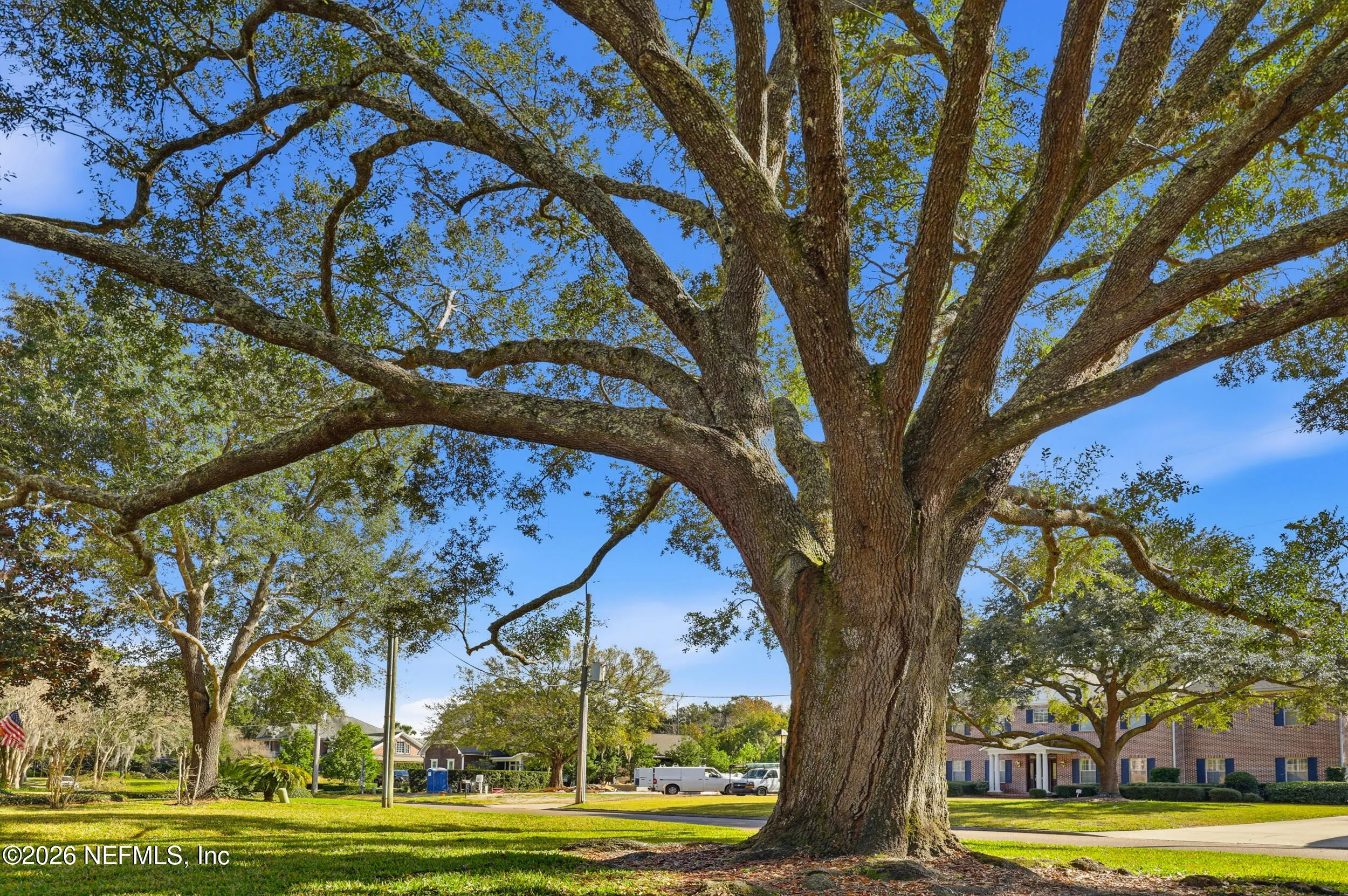 Jacksonville, Florida, 32207, United States, 6 Bedrooms Bedrooms, ,5 BathroomsBathrooms,Residential,Active,2009352