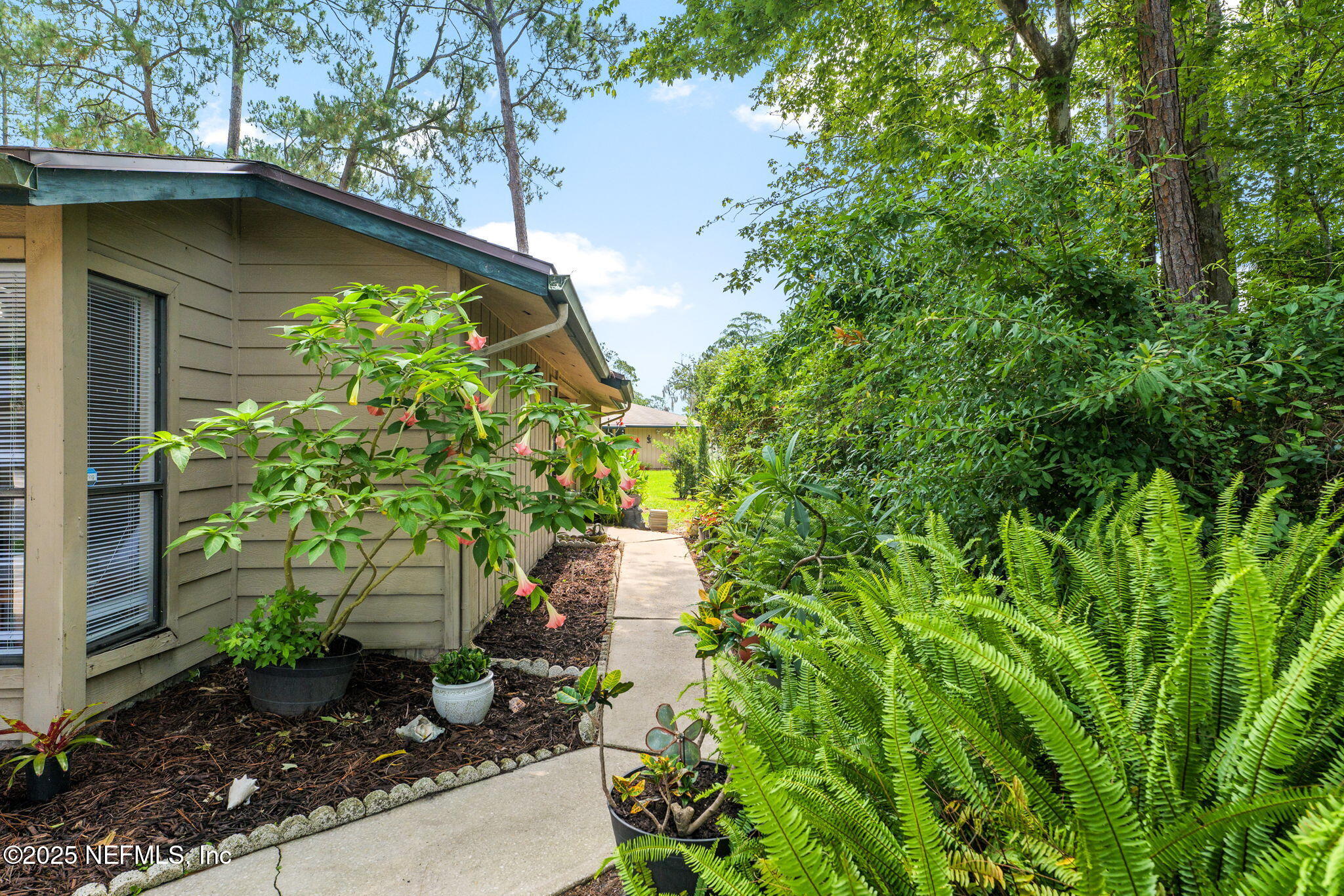 9241 ARBOLITA Way