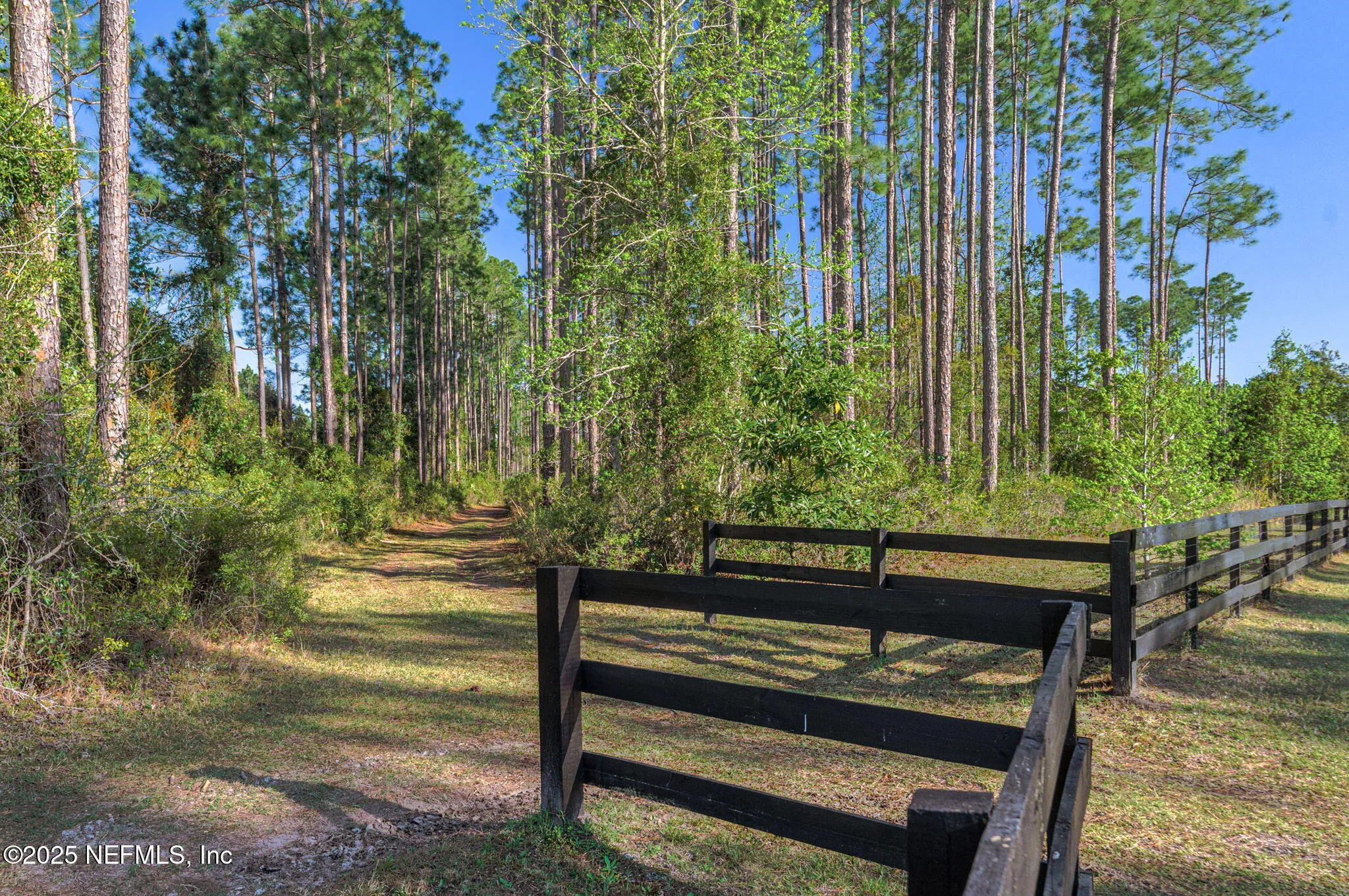 St. Augustine, Florida, 32092, United States, 5 Bedrooms Bedrooms, ,4 BathroomsBathrooms,Residential,Active,1992511