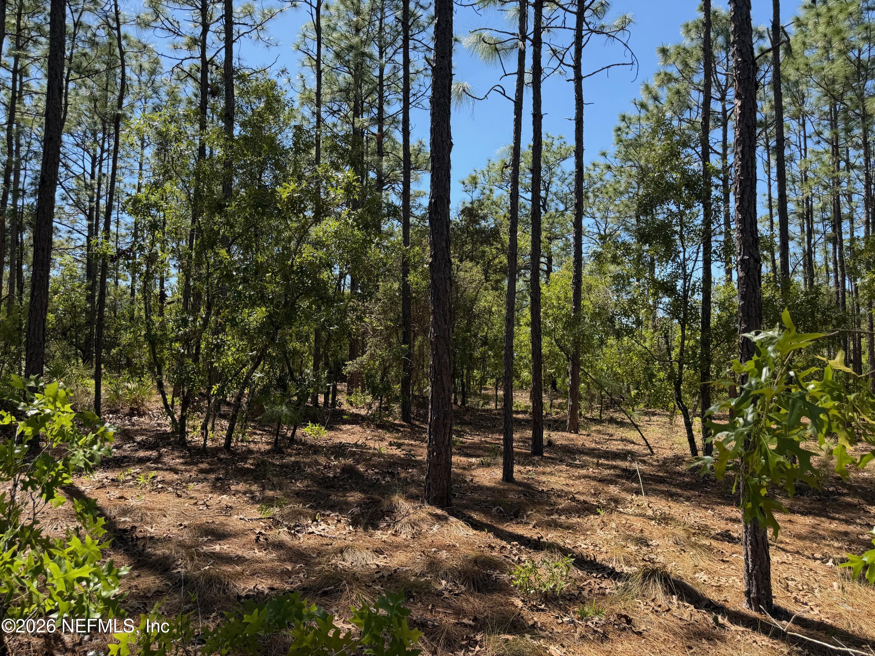 4247 N AMARILLO Drive