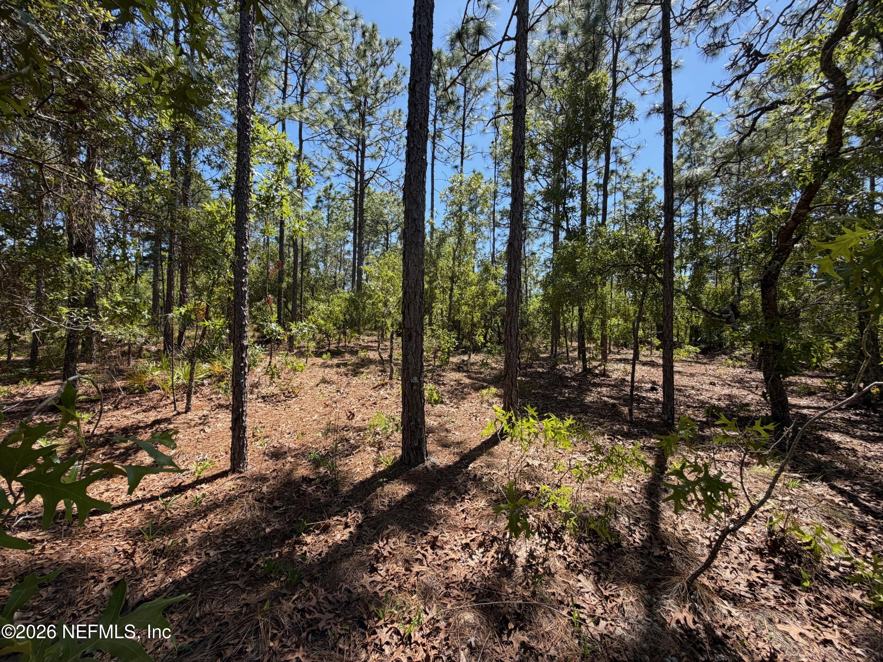 4247 N AMARILLO Drive