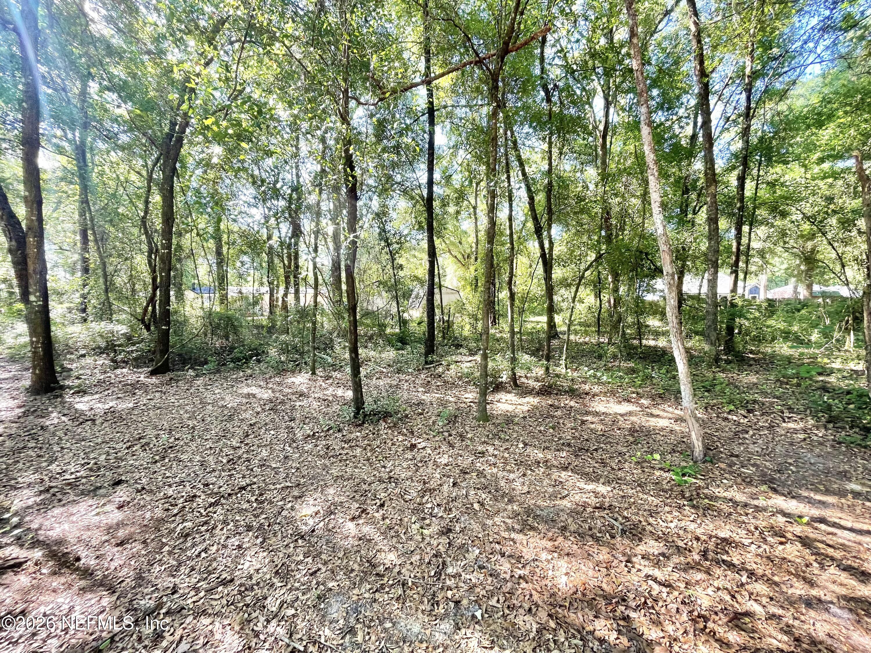 4583 ALLIGATOR Boulevard