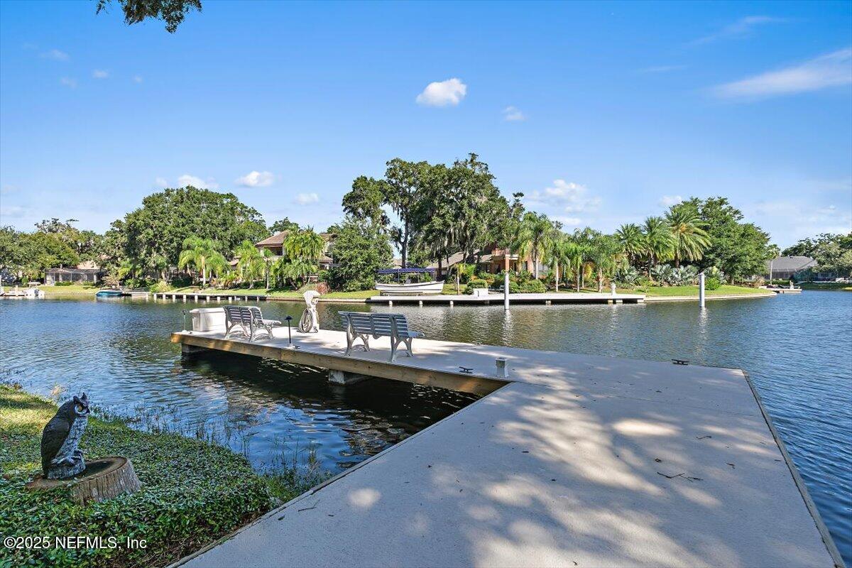 1243 WINDSOR HARBOR Drive