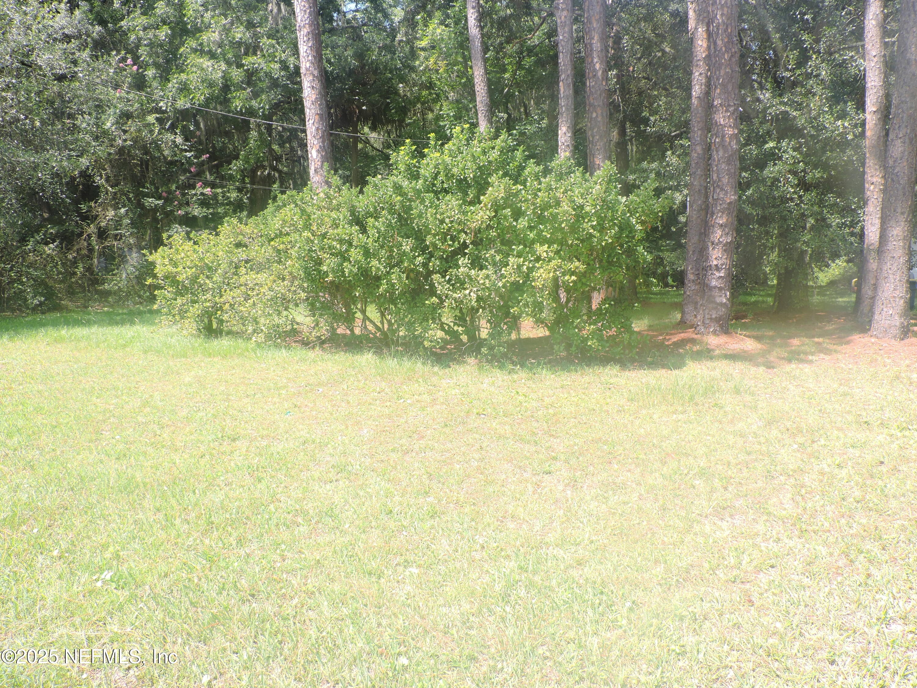 12556 YELLOW BLUFF Road