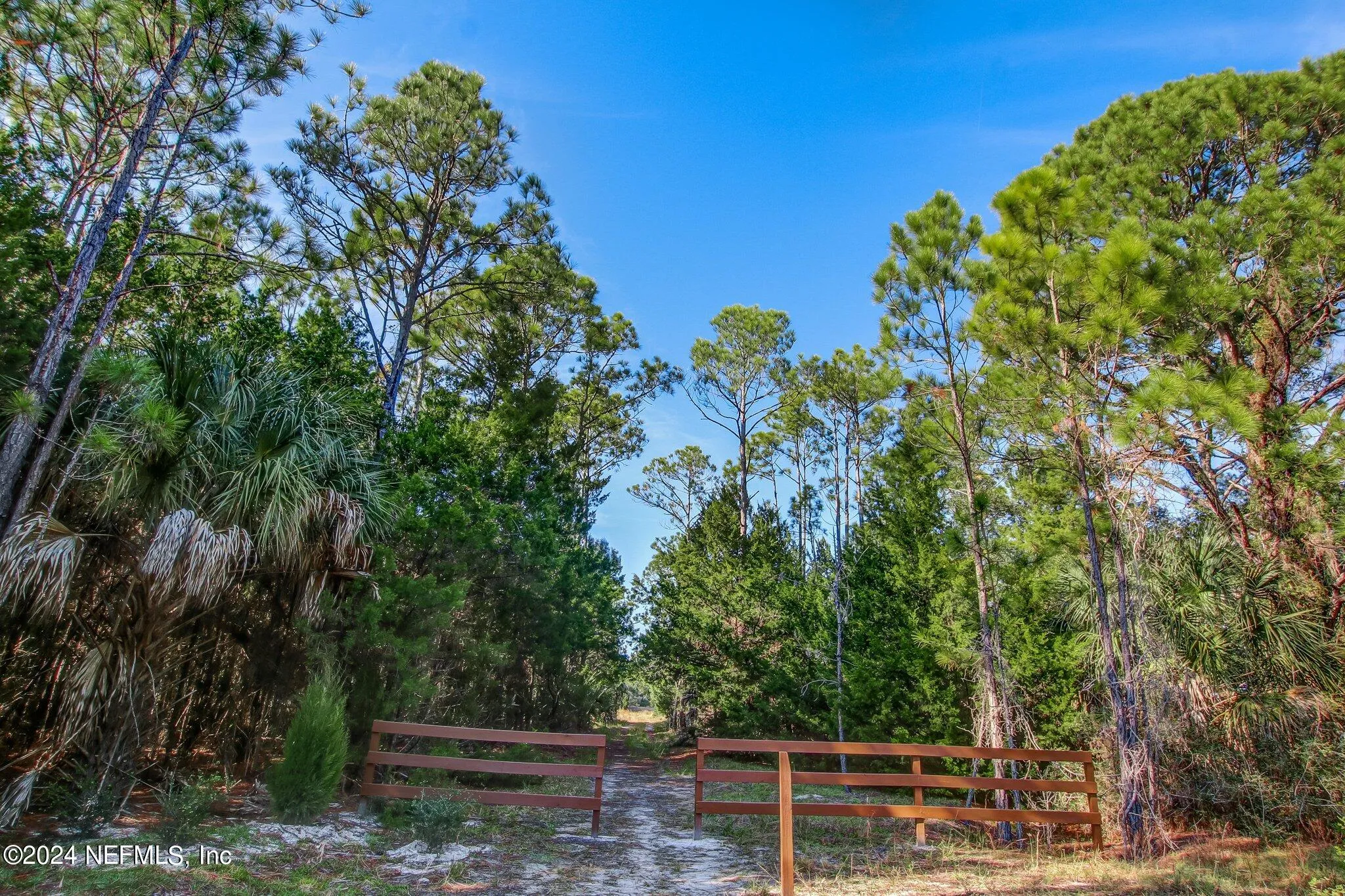 Ponte Vedra, Florida 32081, United States, 4 Bedrooms Bedrooms, ,3 BathroomsBathrooms,Residential,Active,42707