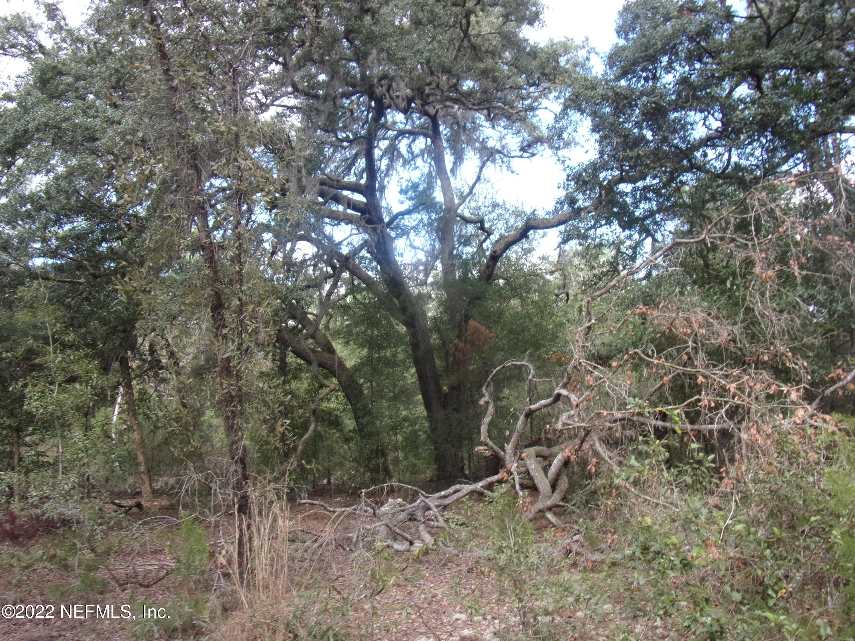 0 S COUNTY ROAD 315