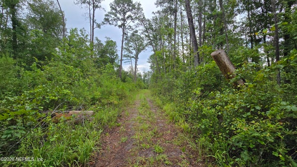 16TH ST NW, JASPER, FL 32052 - Image 3c19a0d24d577d0feafd1a763ad31f52/1379806698