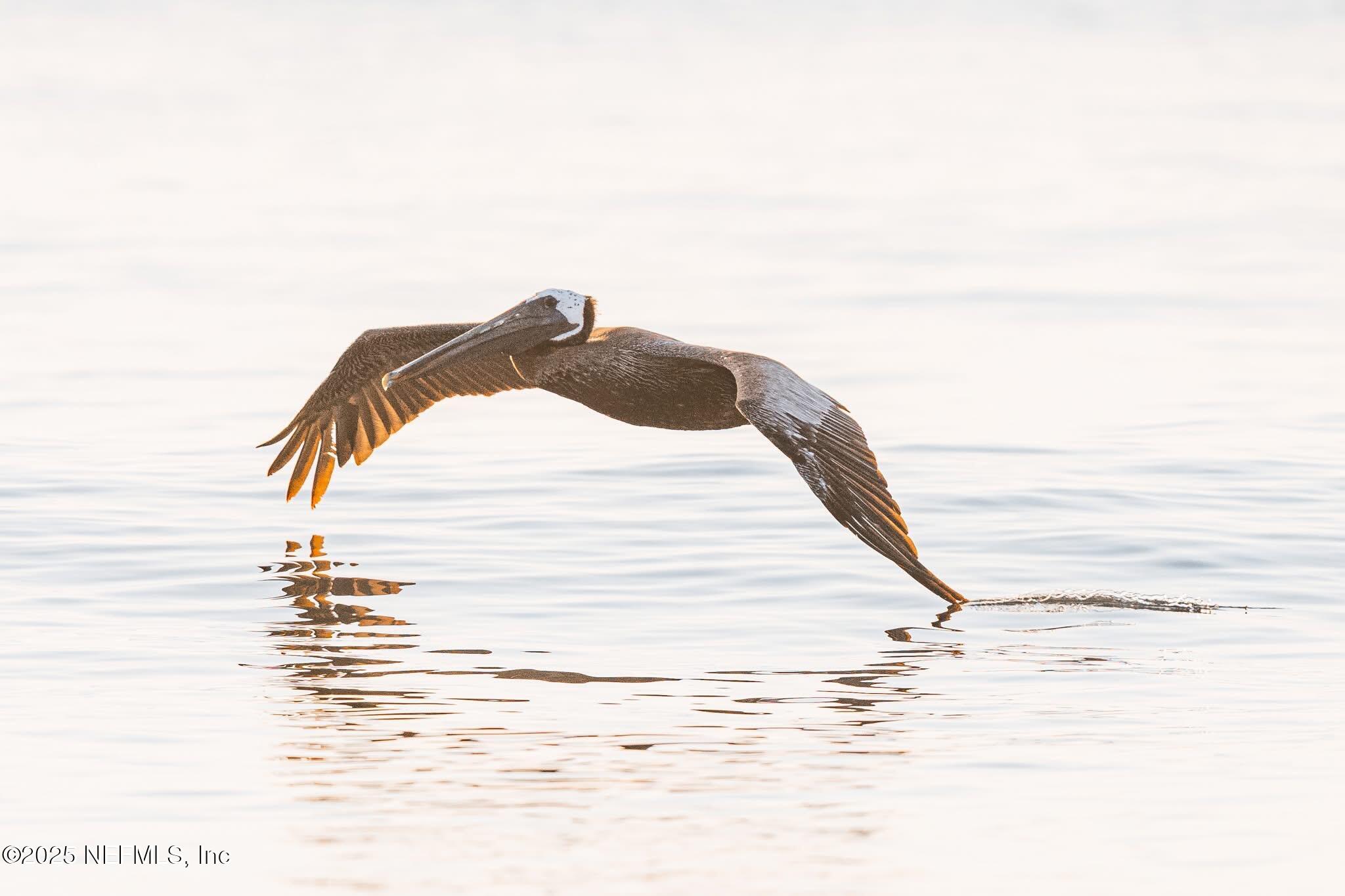 2898 OCEAN SHORE Boulevard 4020