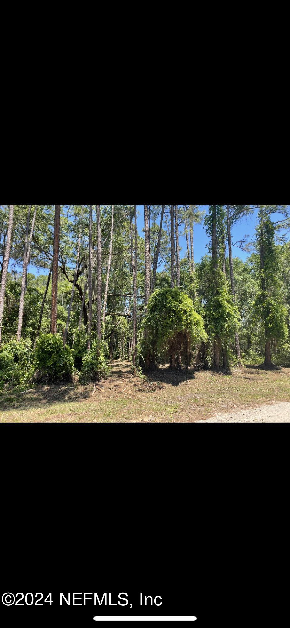 Georgetown, FL home for sale located at 110 Hazel Avenue, Georgetown, FL 32139