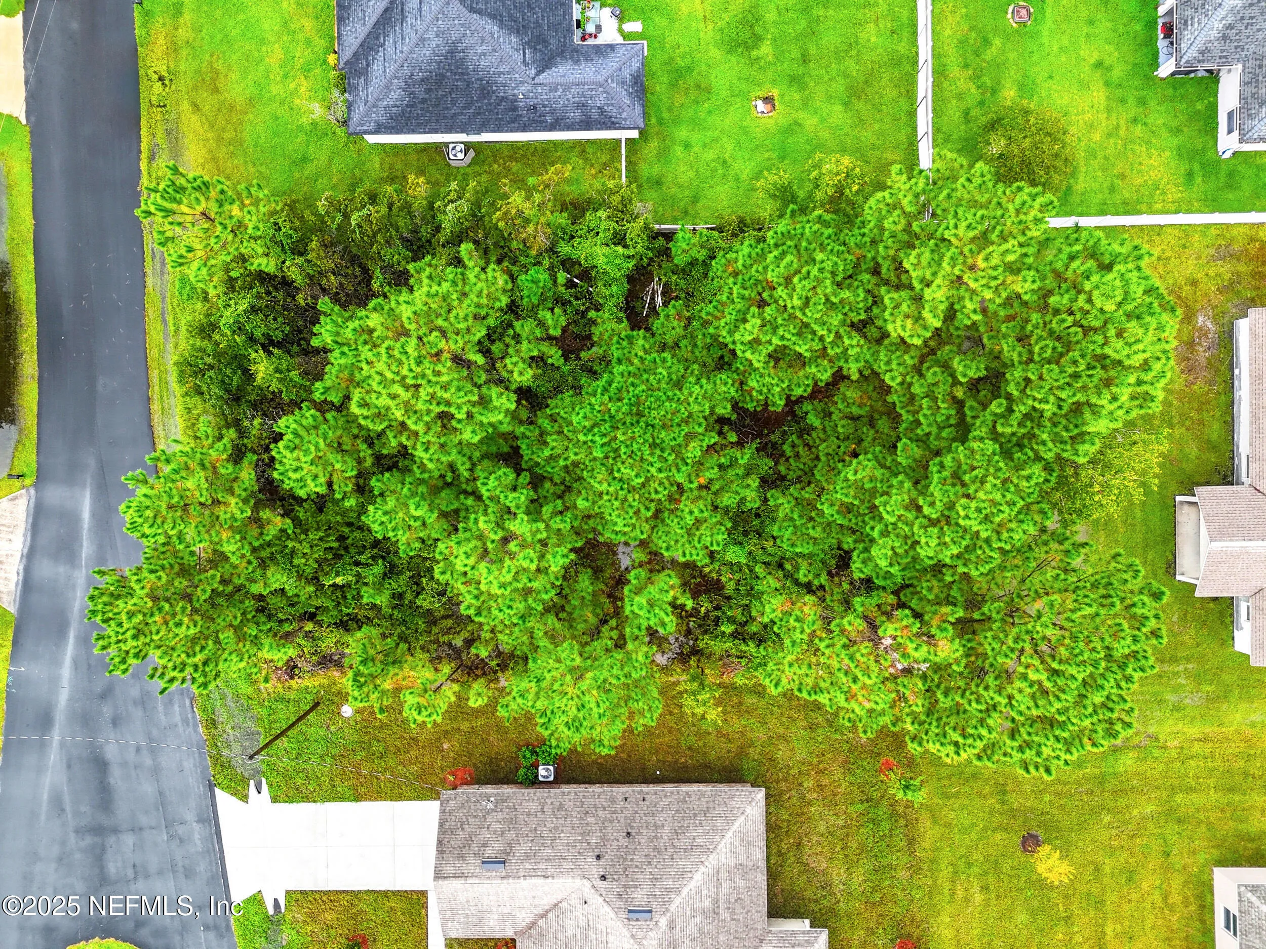 Palm Coast, Florida 32137, United States, ,Land,Active,219011