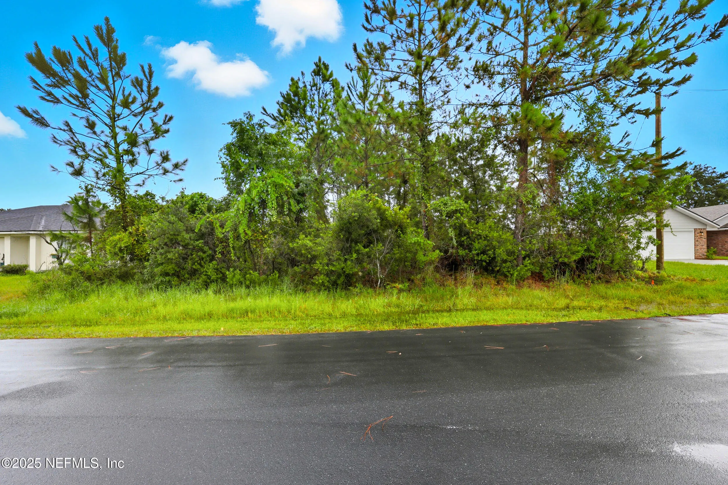 Palm Coast, Florida 32137, United States, ,Land,Active,219011