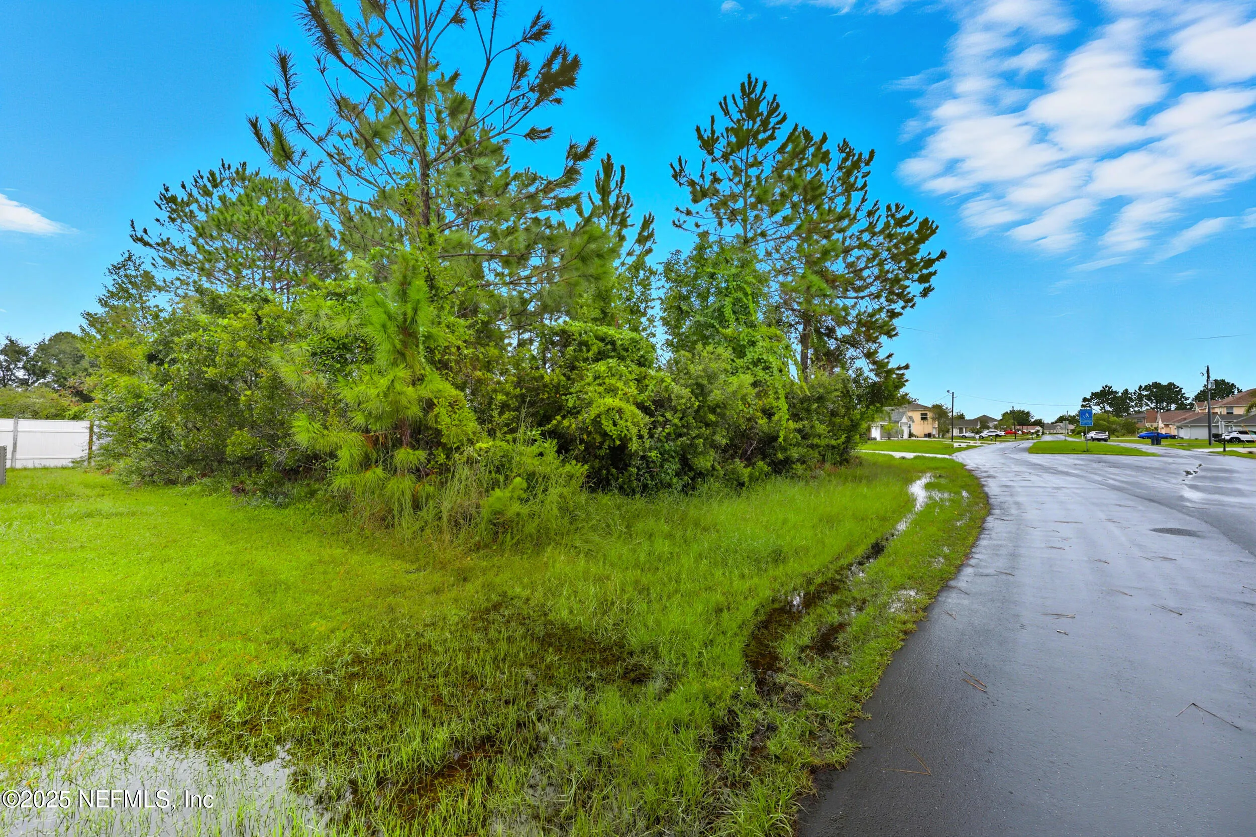 Palm Coast, Florida 32137, United States, ,Land,Active,219011