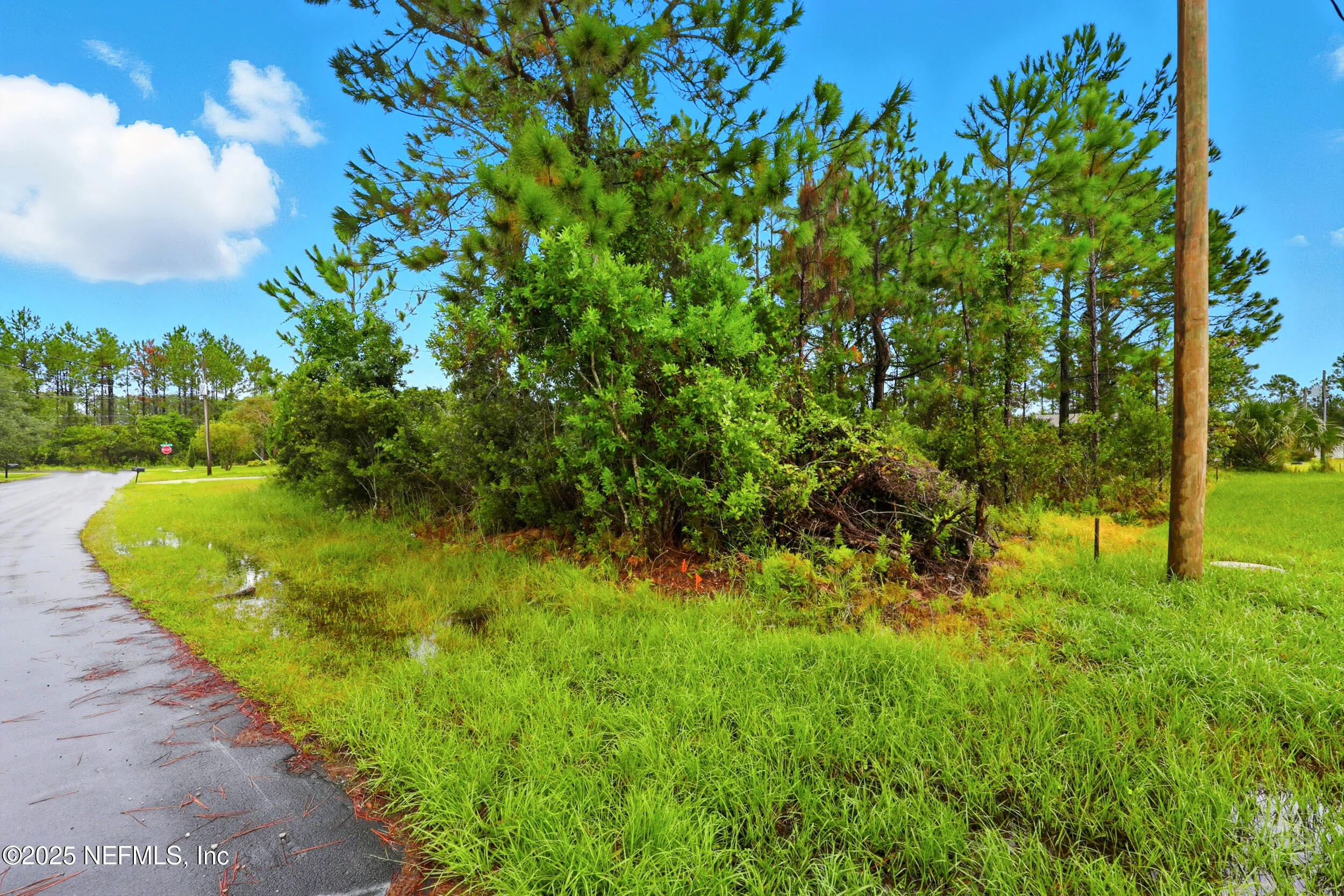 Palm Coast, Florida 32137, United States, ,Land,Active,219011