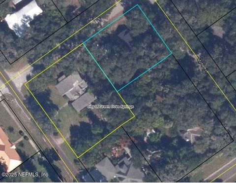 726 ST JOHNS Avenue Green Cove Springs FL 32043