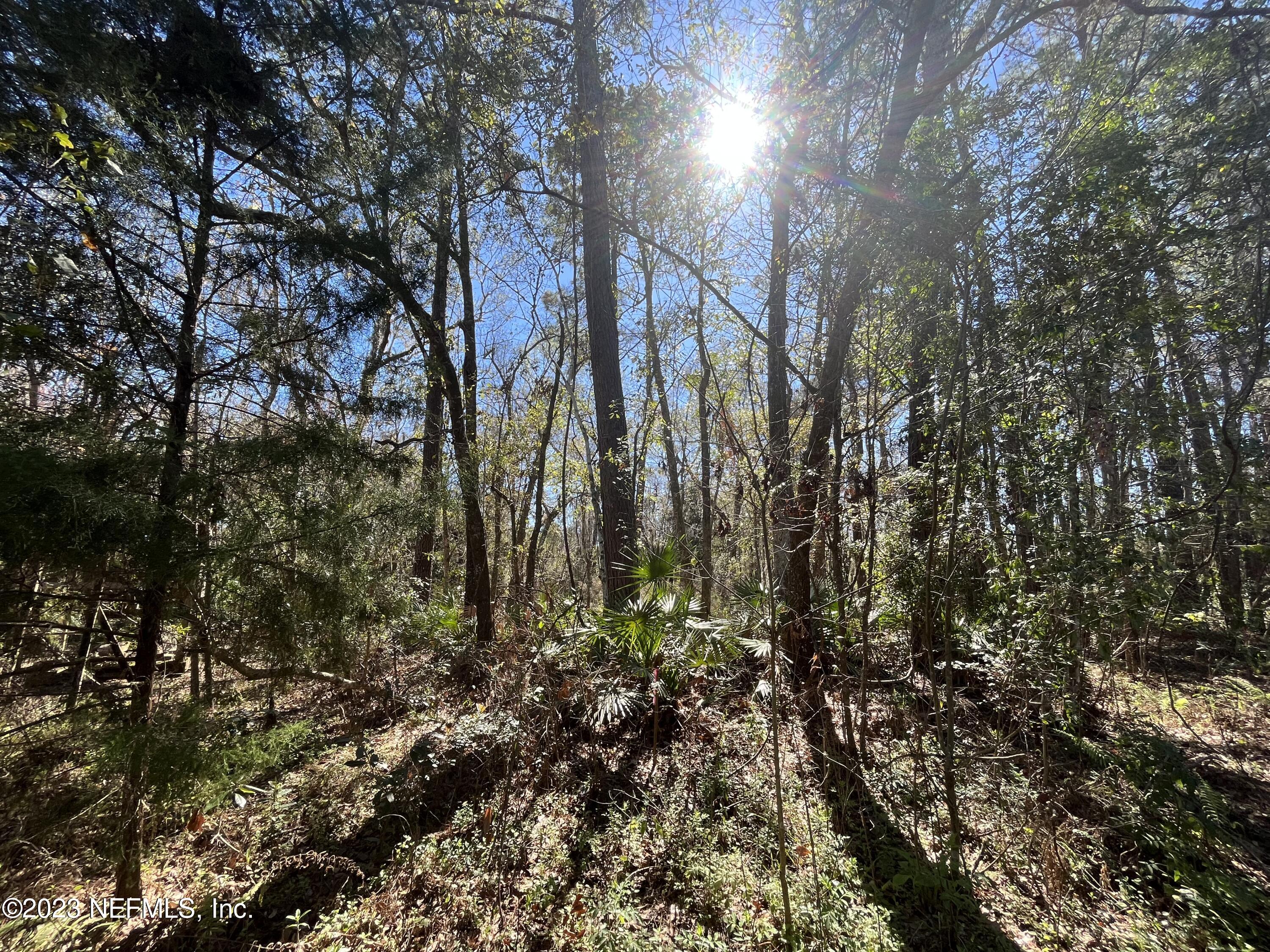 Photo 1 of 6 of 0 WOODELM Drive land