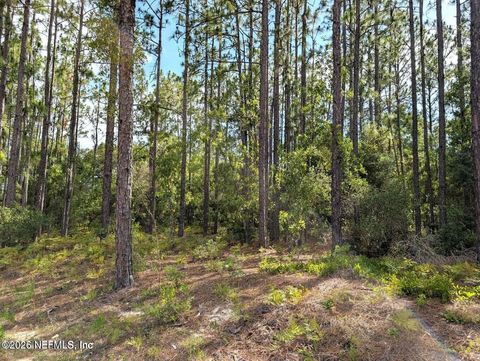 0 CR 218 PASAFINO Road Green Cove Springs FL 32043